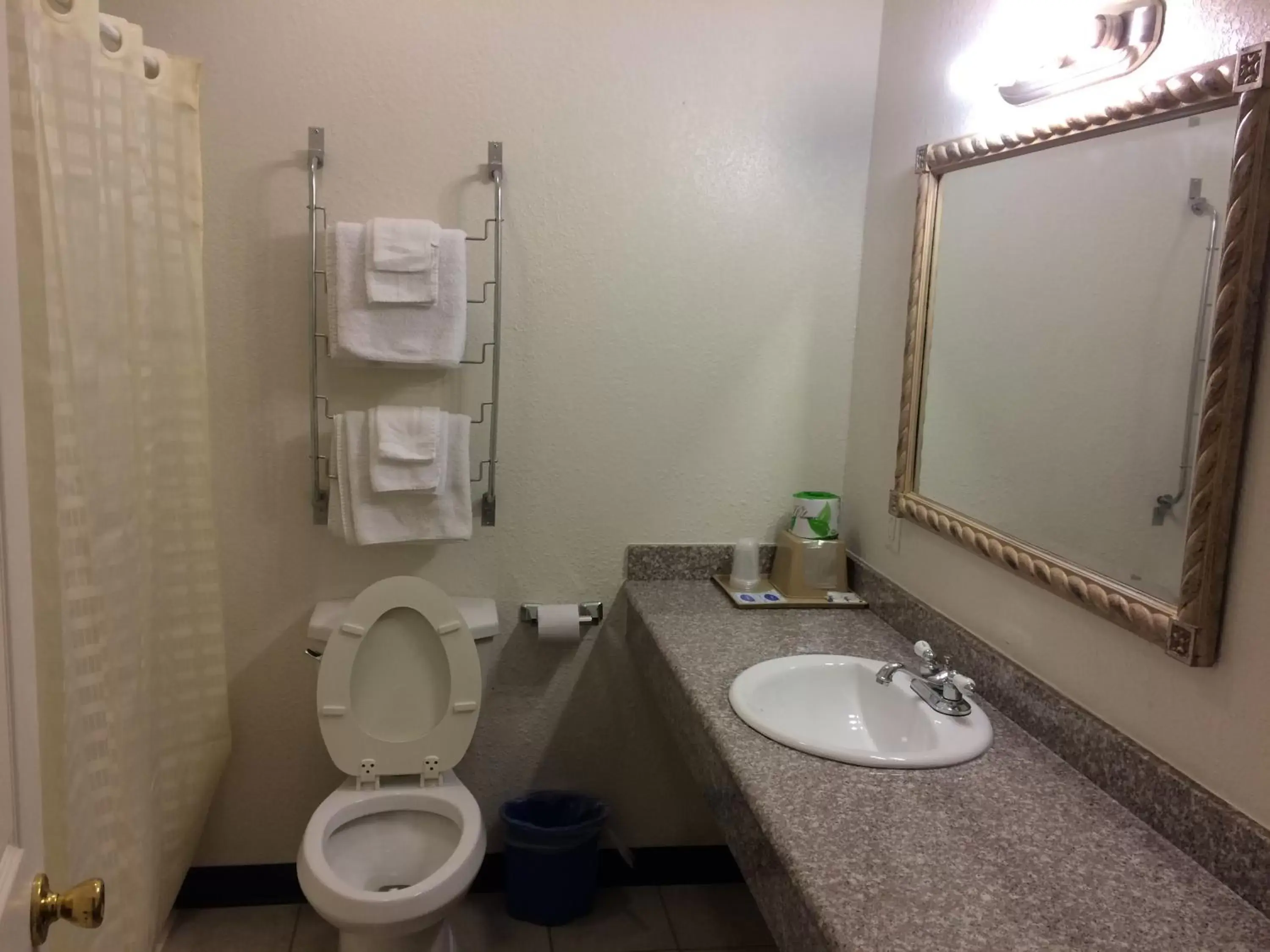 Bathroom in Country Regency Inn & Suites