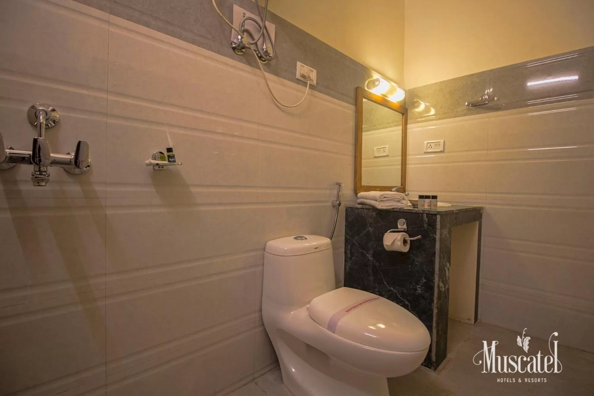 Toilet, Bathroom in Muscatel Delamare - 200 Mts from MG Marg