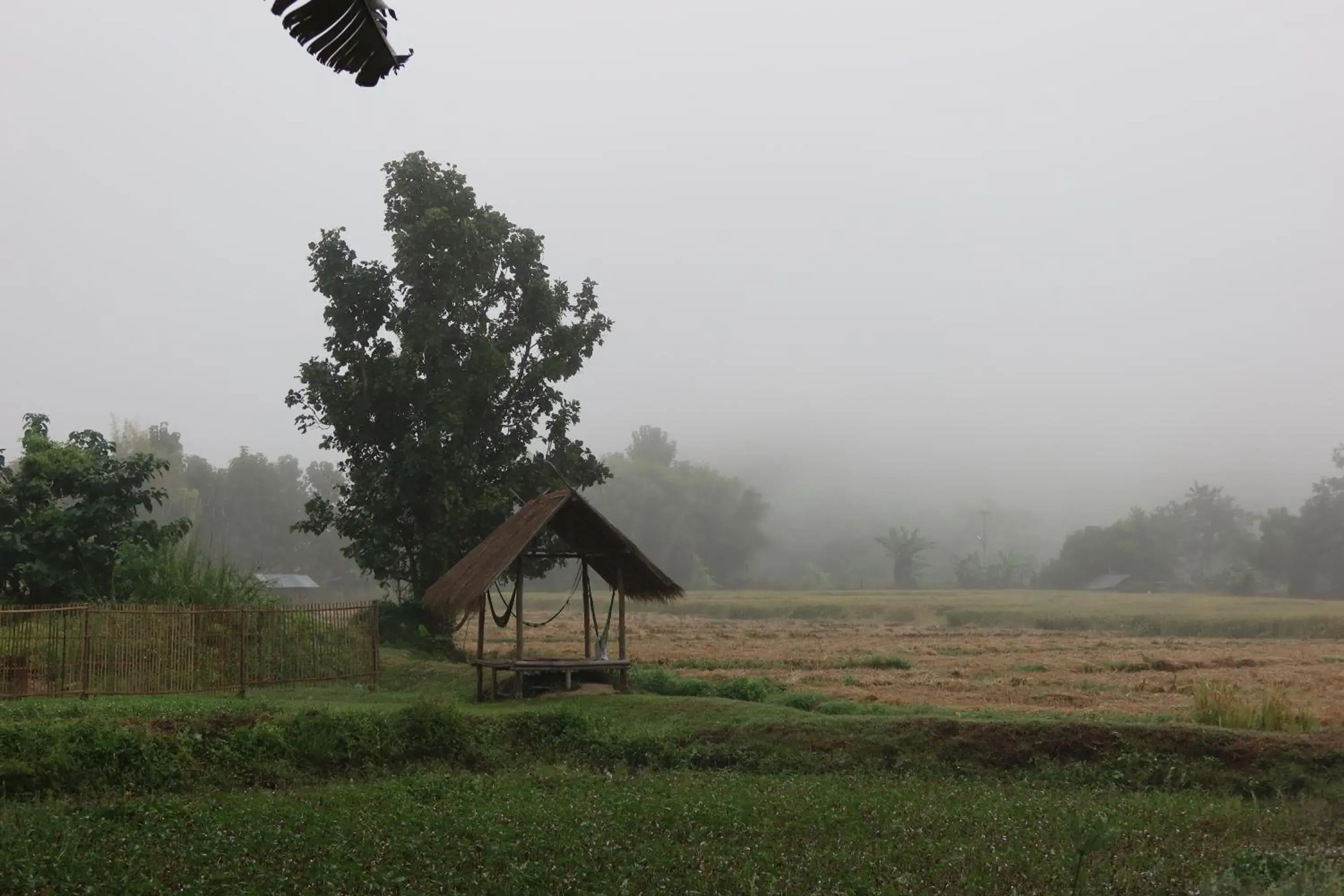 The Countryside Resort Pai