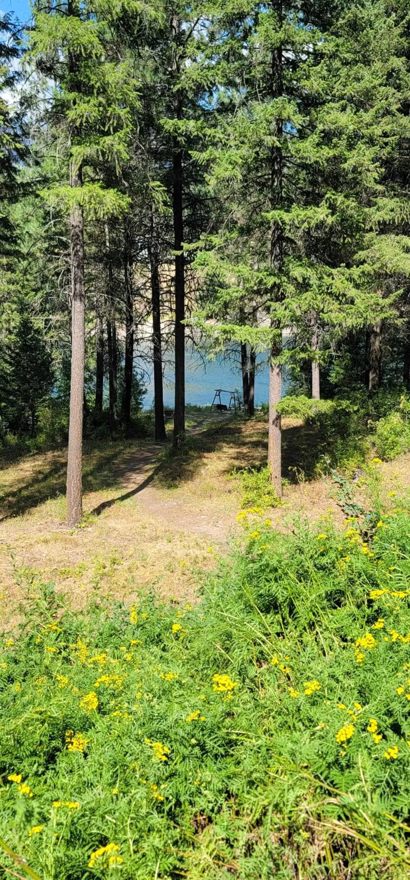 Natural landscape in Riverfront Motel & Cabins