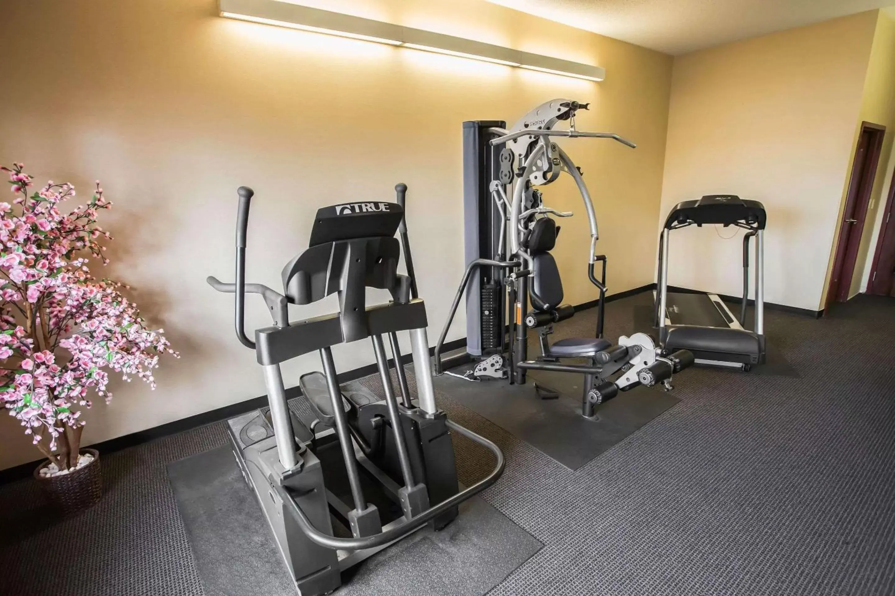 Fitness centre/facilities, Fitness Center/Facilities in Comfort Inn Crystal Lake - Algonquin