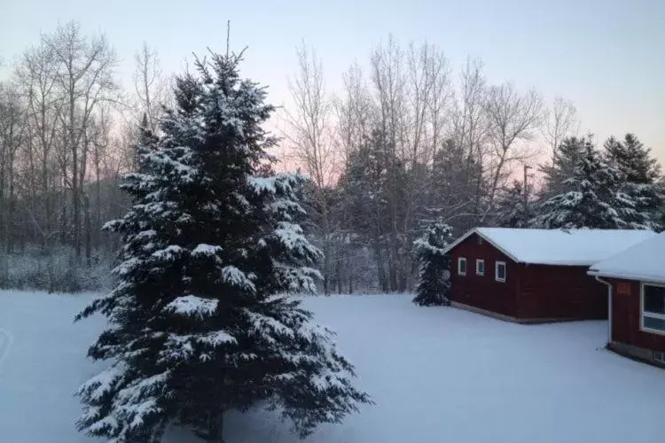 Winter in Hush Lodge and Cottages