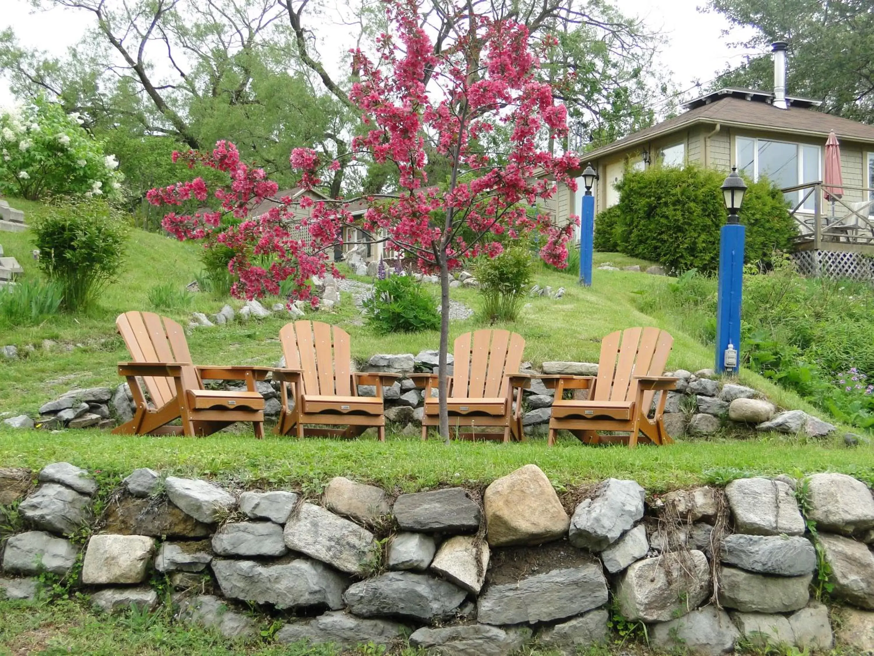 Garden in Auberge Fleurs de Lune