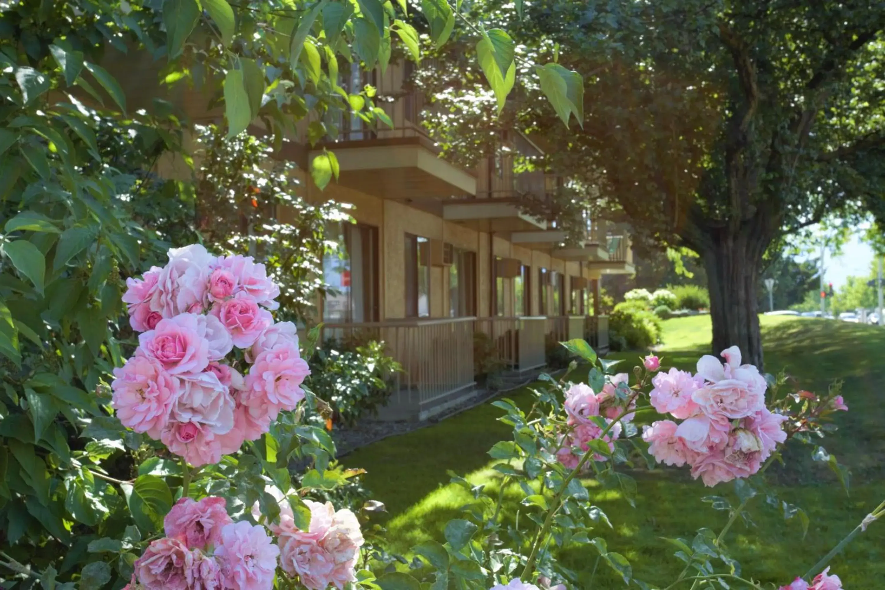 Garden, Property Building in Dilworth Inn