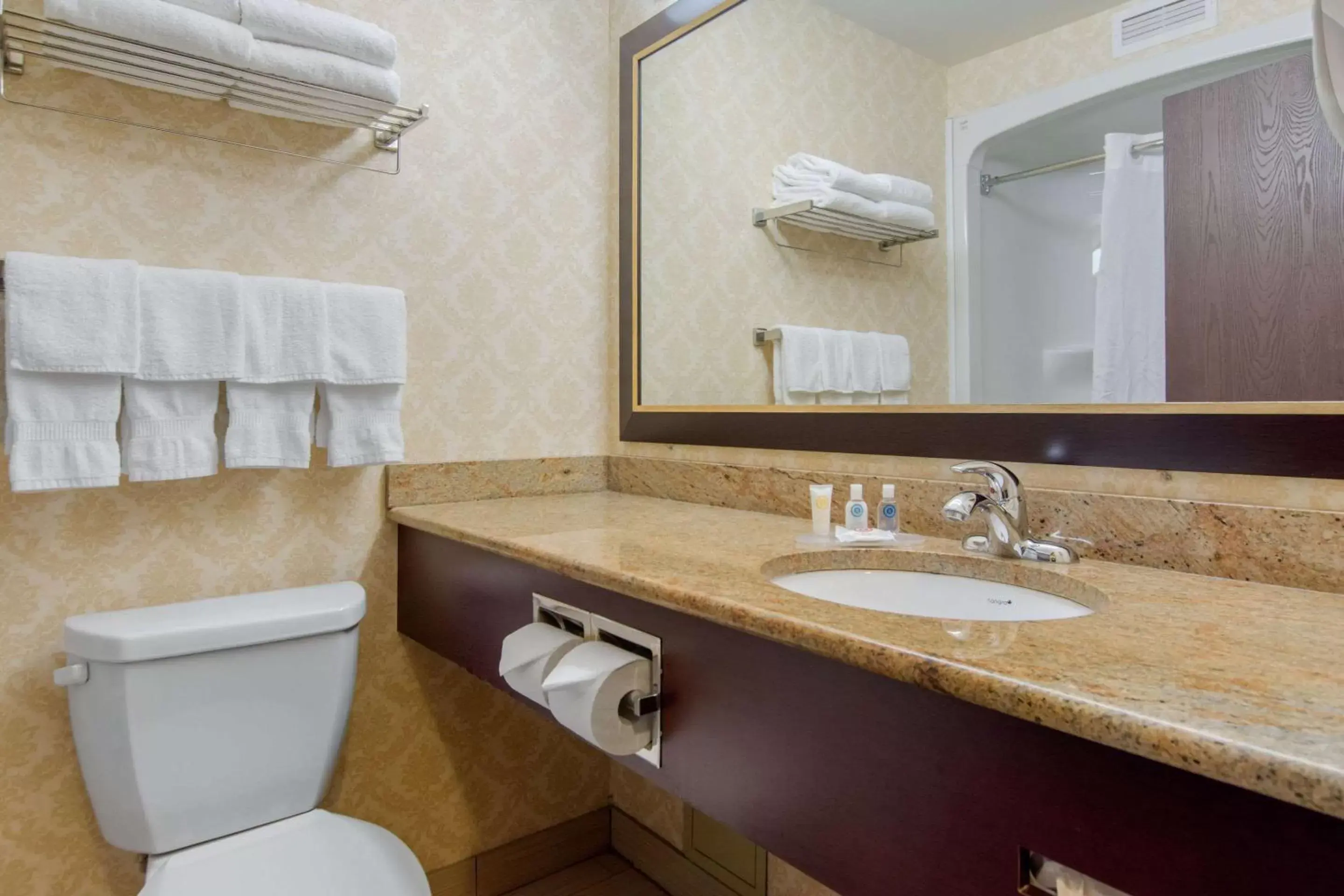 Bathroom in Comfort Inn & Suites Levis / Rive Sud Quebec city