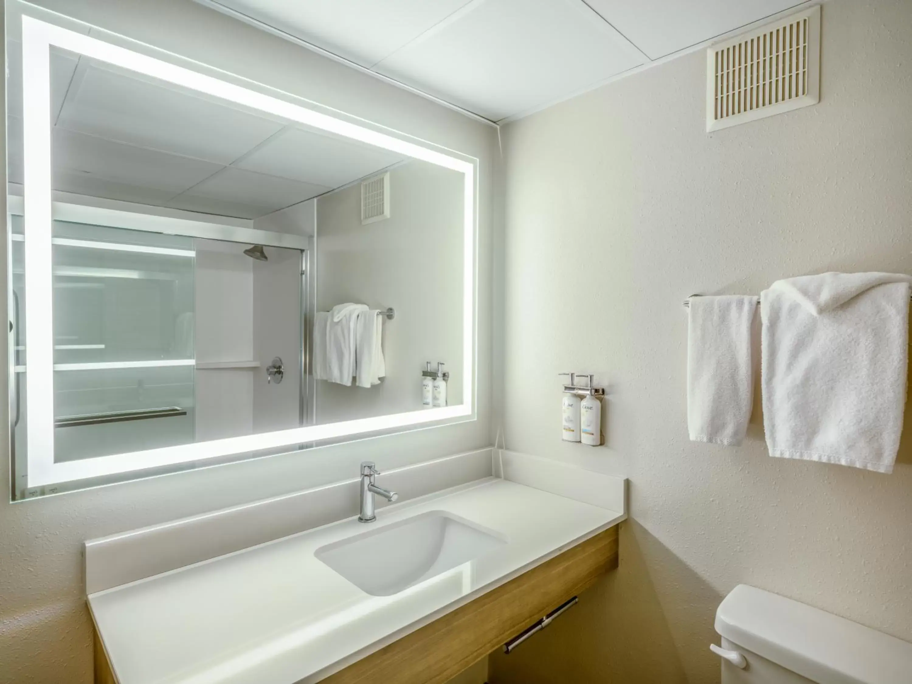 Bathroom in Holiday Inn Express & Suites Greensboro - I-40 atWendover, an IHG Hotel