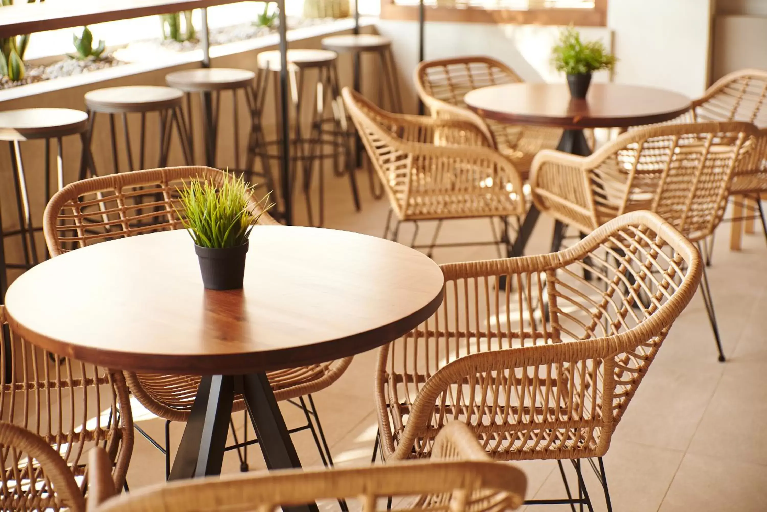 Restaurant/places to eat in DWO Sirius - Adults Only Restaurant/places to eat in DWO Sirius - Adults Only