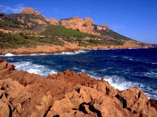 View (from property/room) in Les Chambres d'Hotes au Bois Fleuri