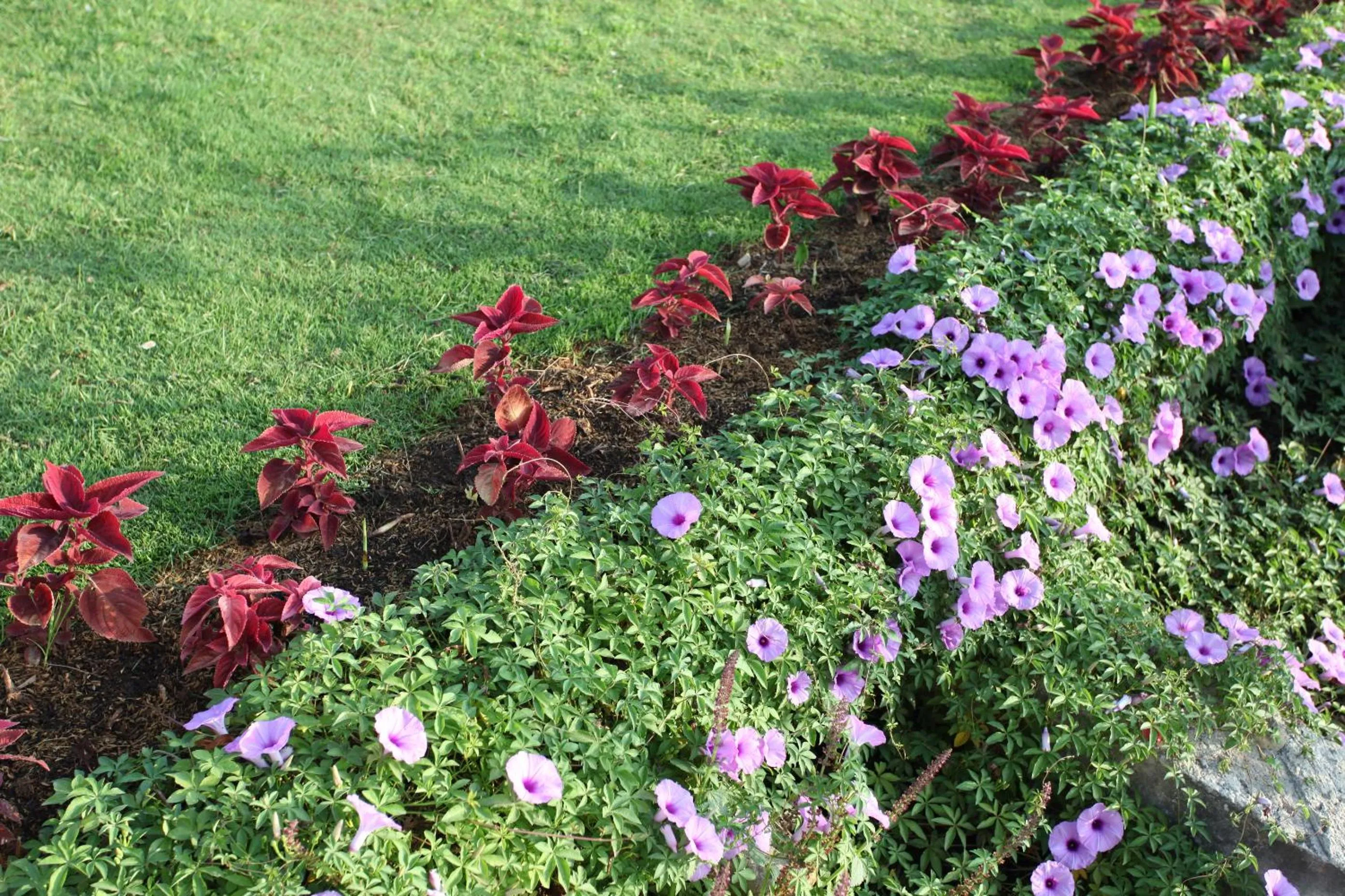 Garden in Ubud Wana Resort