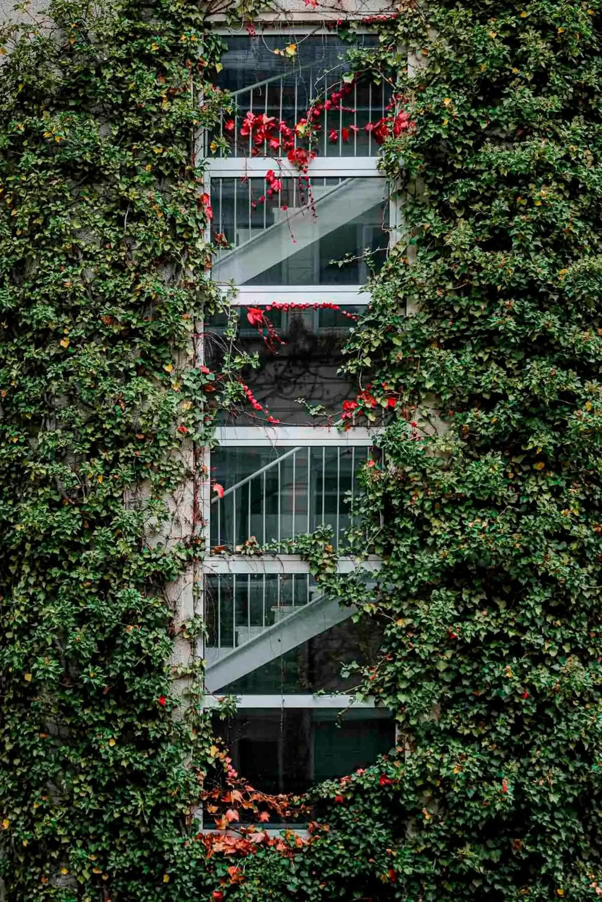 Property Building in Boutique Hotel Atrium München