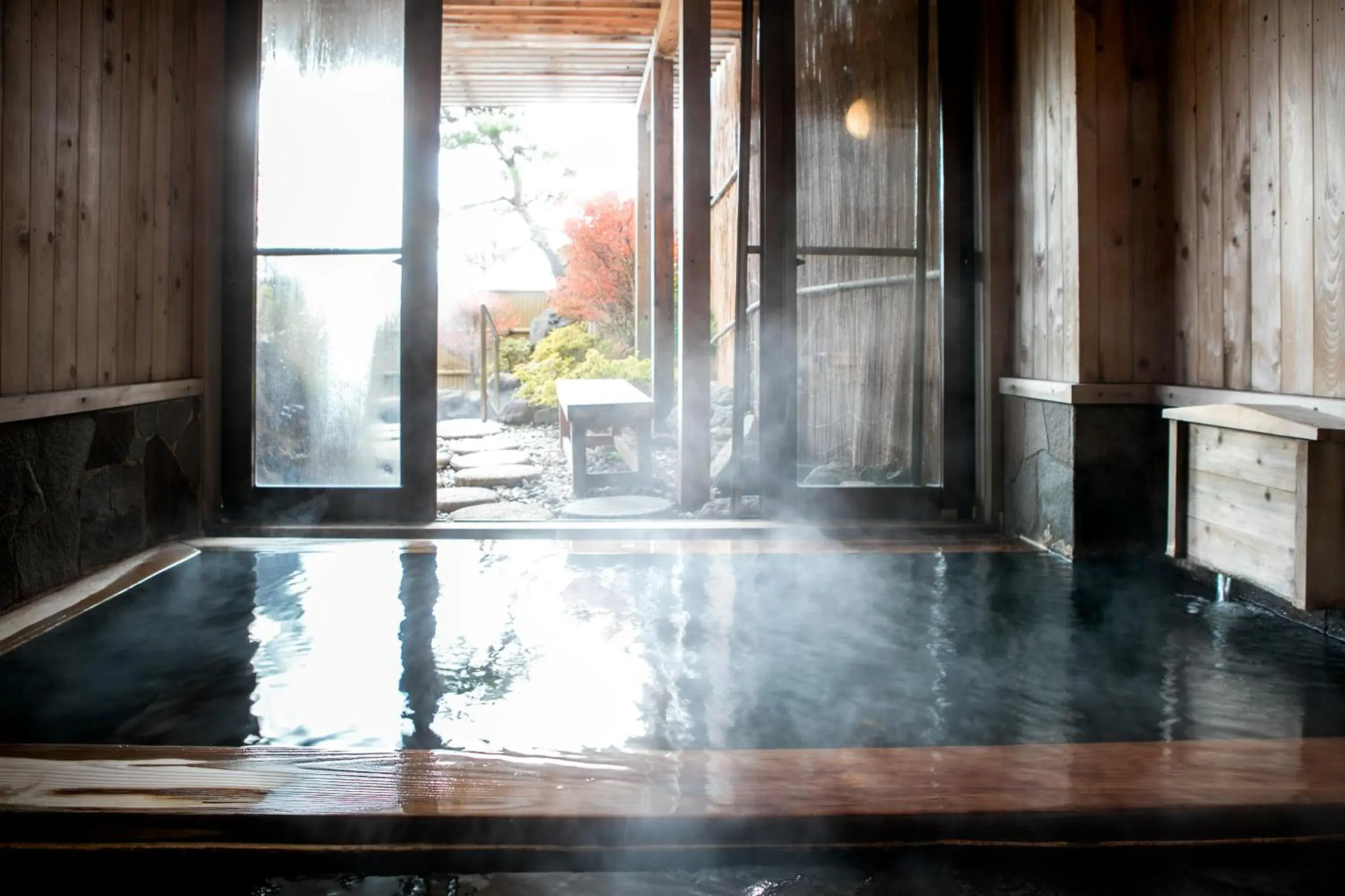 Hot Spring Bath, Swimming Pool in Ryokan Warabino