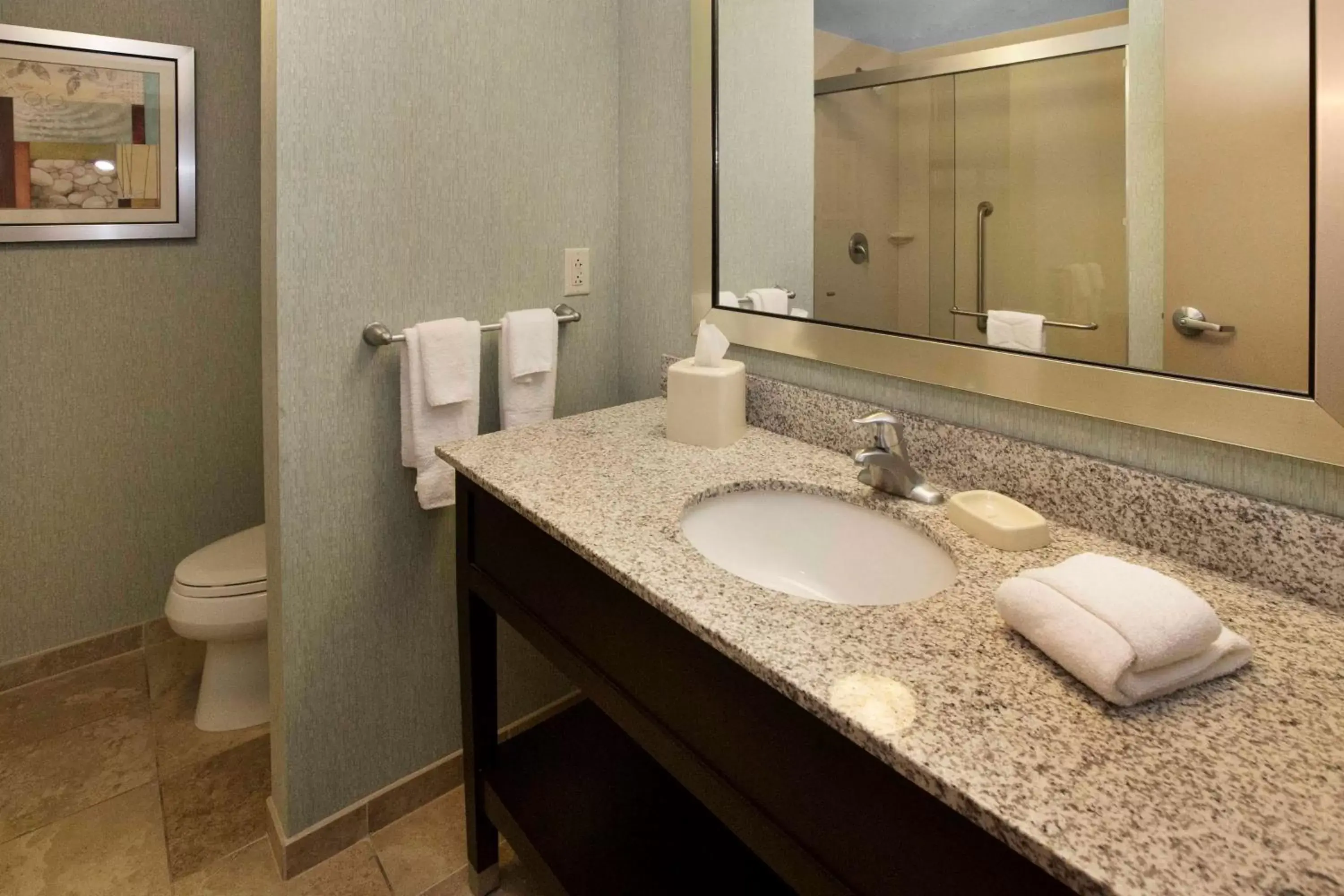 Bathroom in Hampton Inn Bridgeville