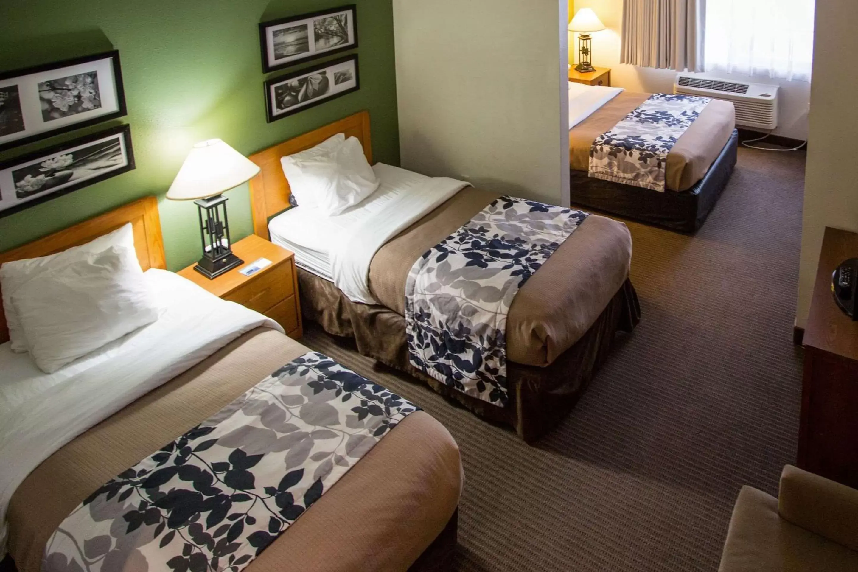 Photo of the whole room, Bed in Sleep Inn & Suites Conference Center Eau Claire