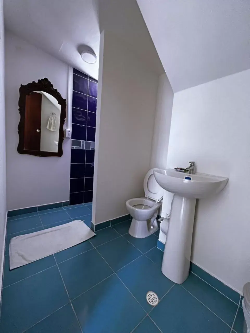 Double Room with Private Bathroom in Sunset Paradise Double Room with Private Bathroom in Sunset Paradise