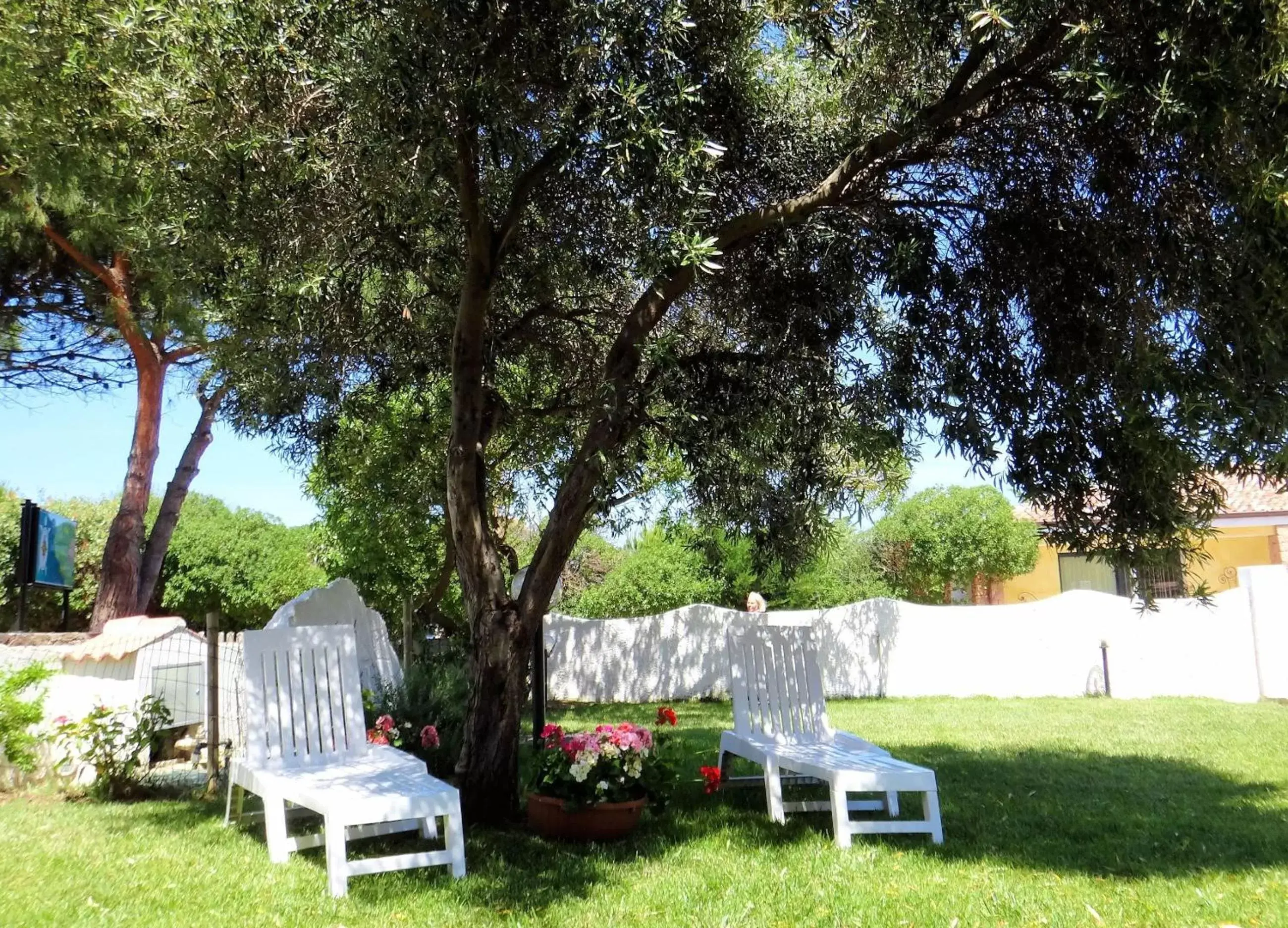 Garden in Hotel La Tartaruga Bianca