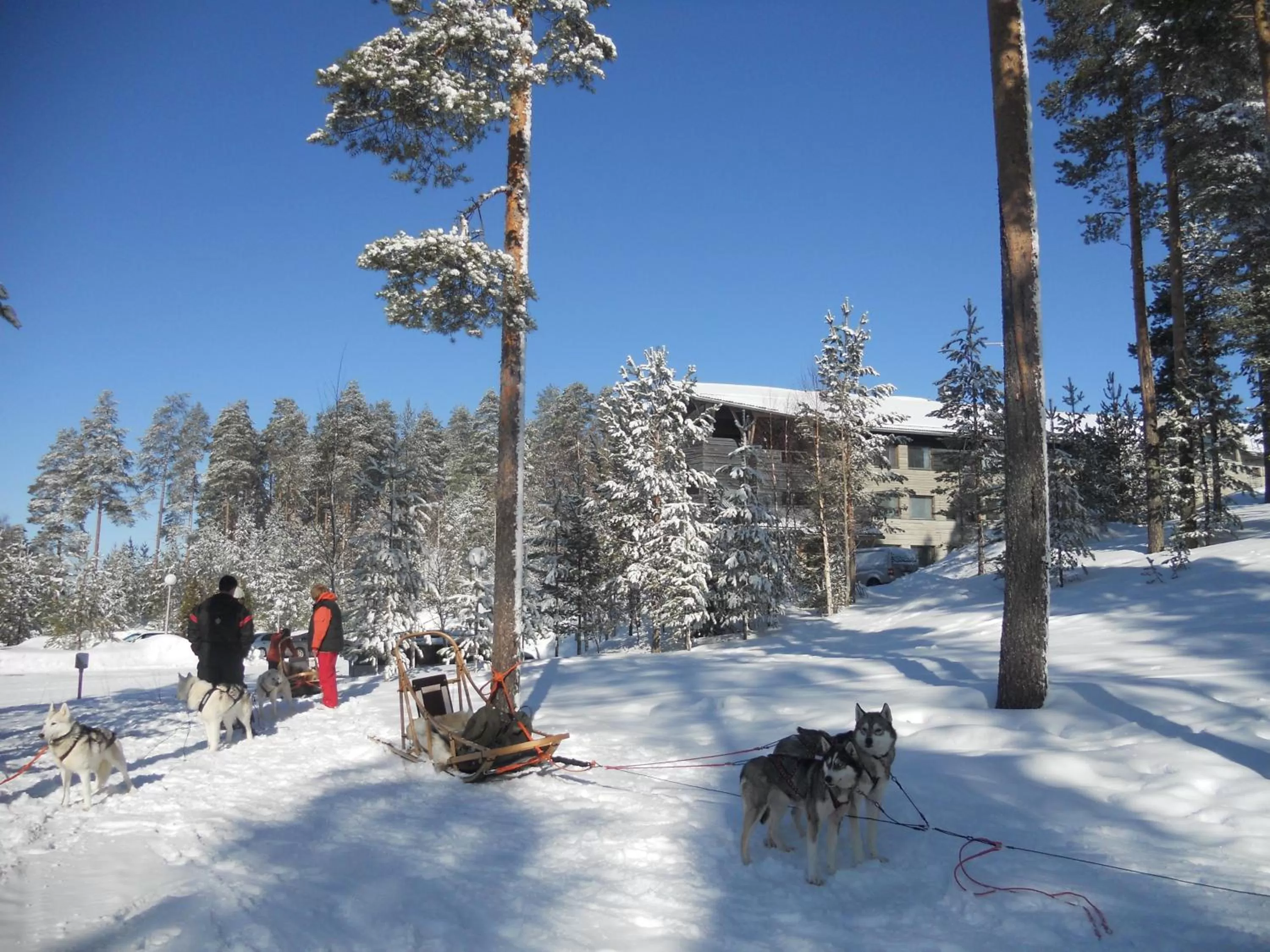 Activities in Hotel Kalevala