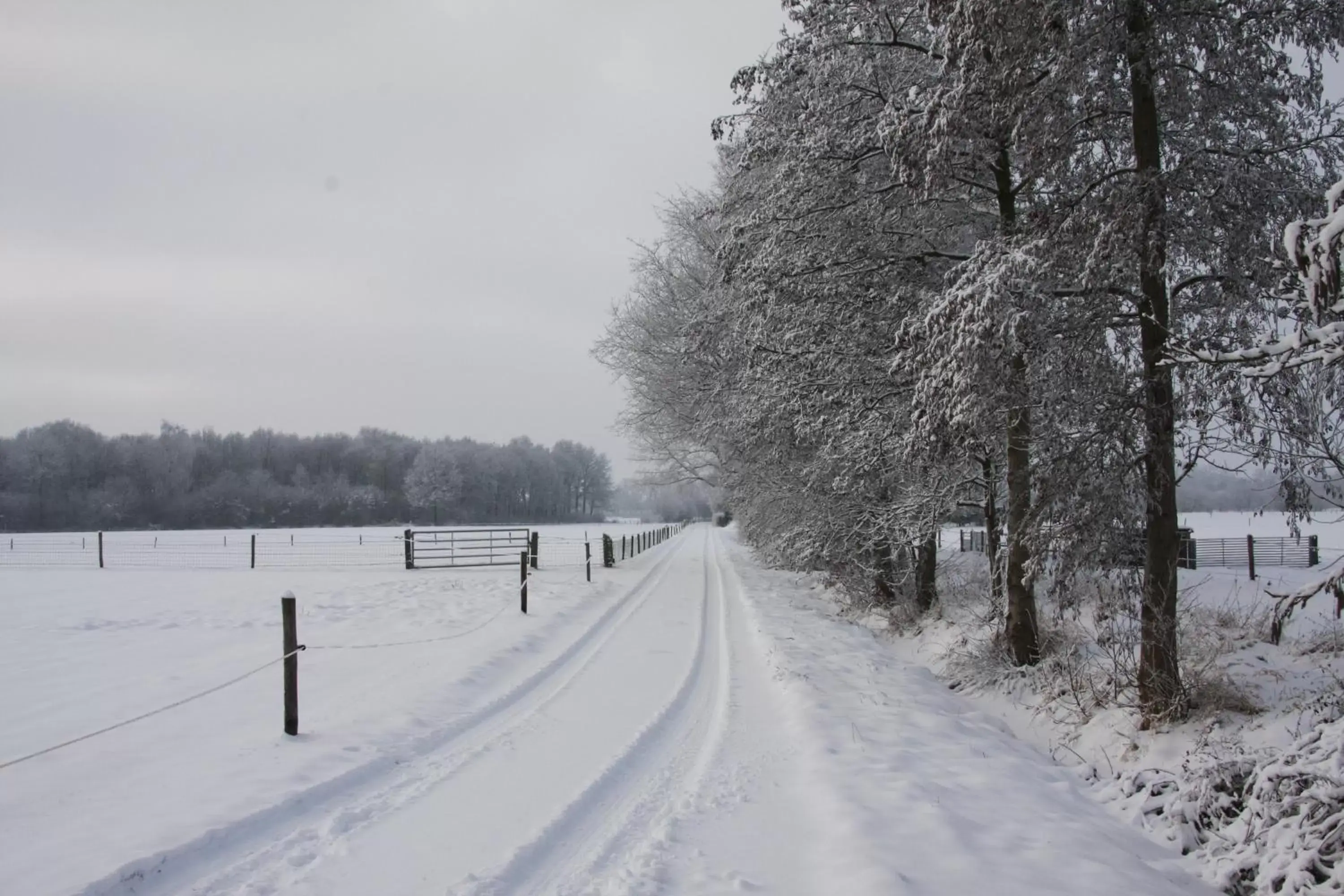 Area and facilities, Winter in De Aze