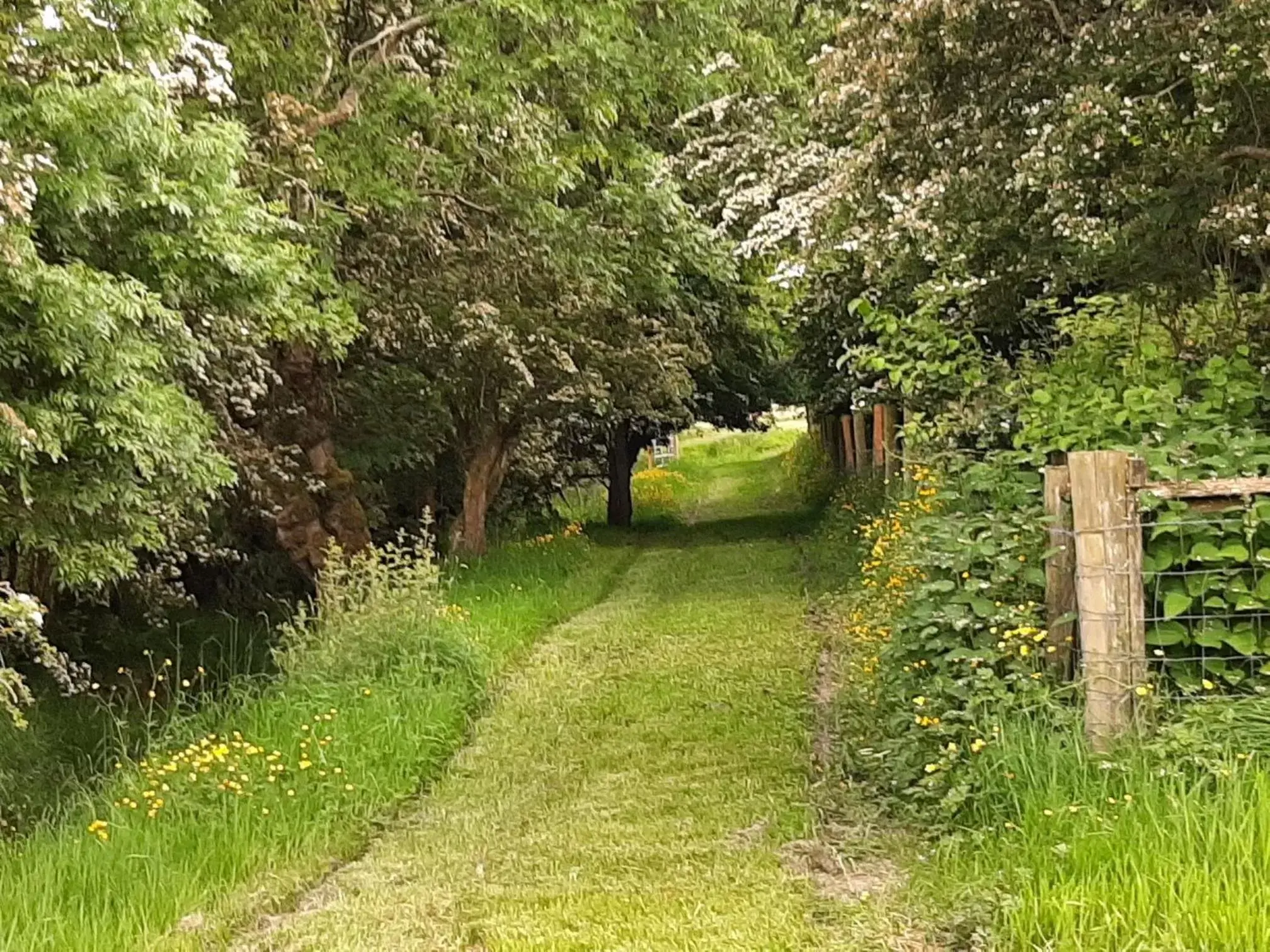 Activities, Garden in Abhainn Ri Farmhouse