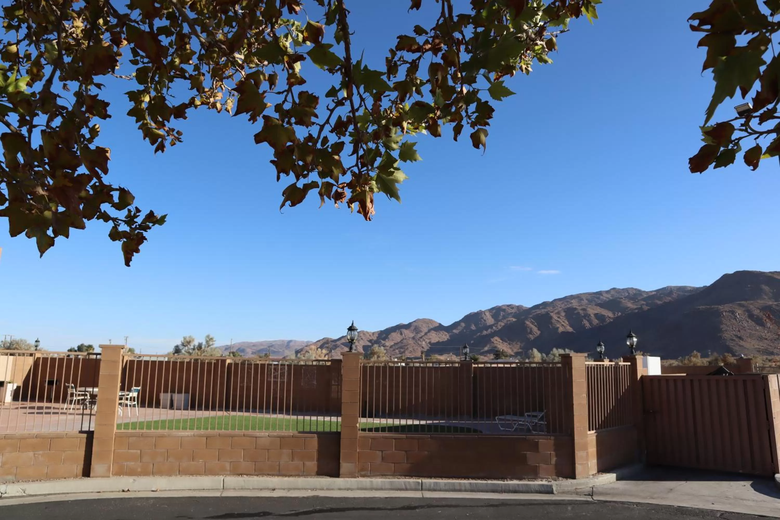 Garden in Oasis Inn & Suites 29 Palms Hotel Joshua Tree National Park