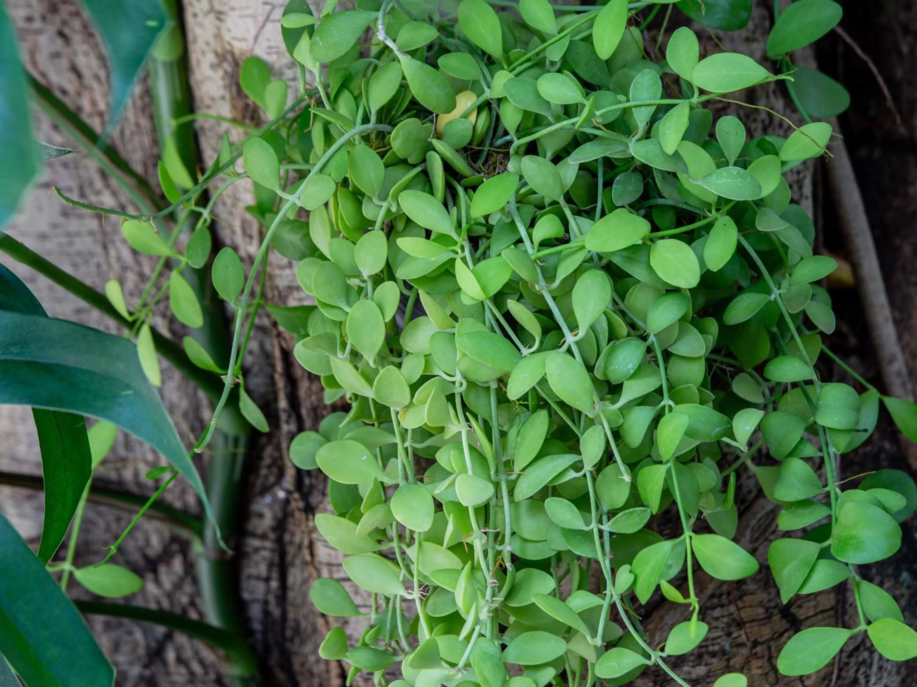 Property building in Homewood Hotel