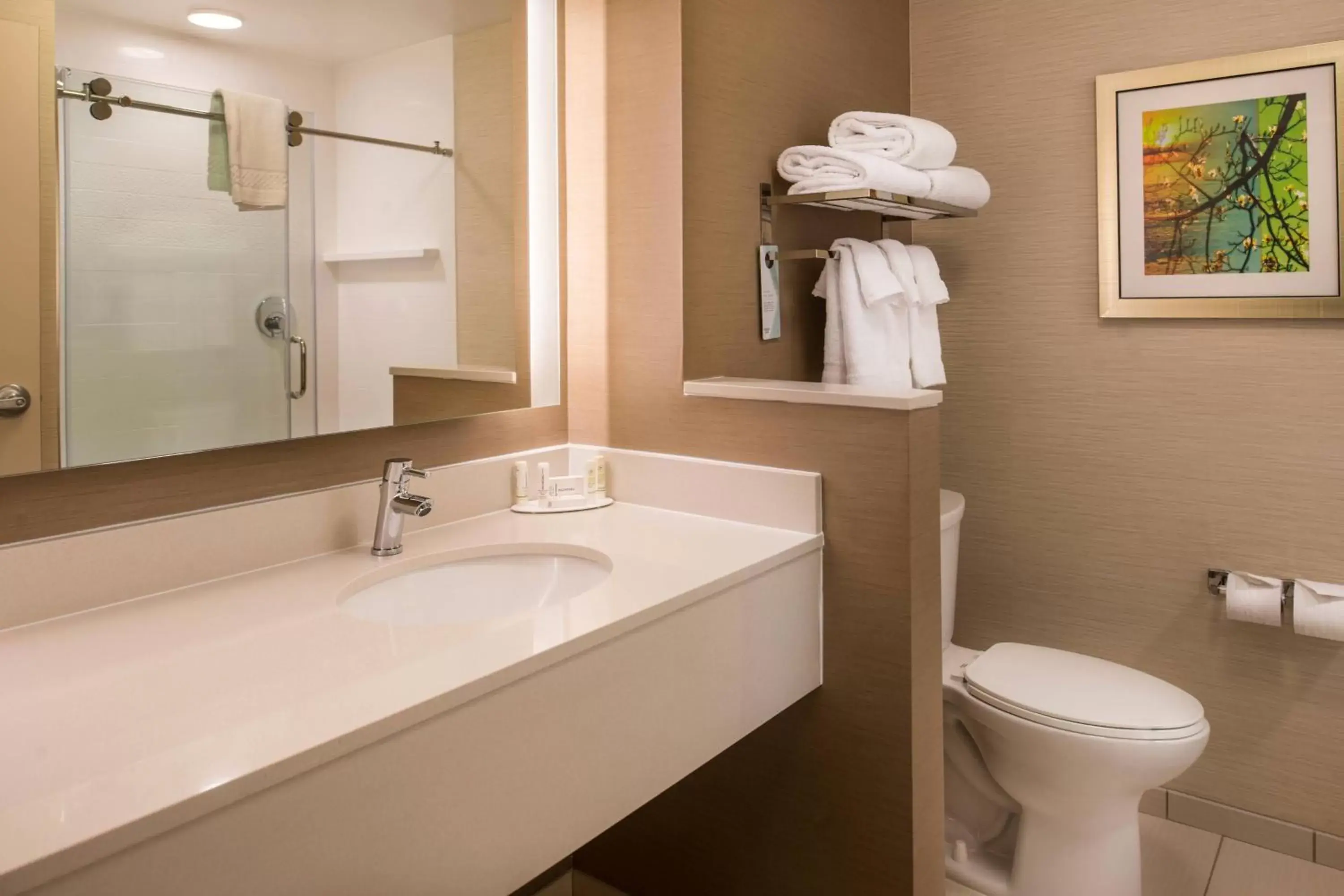 Bathroom in Fairfield Inn & Suites by Marriott St. Louis Westport