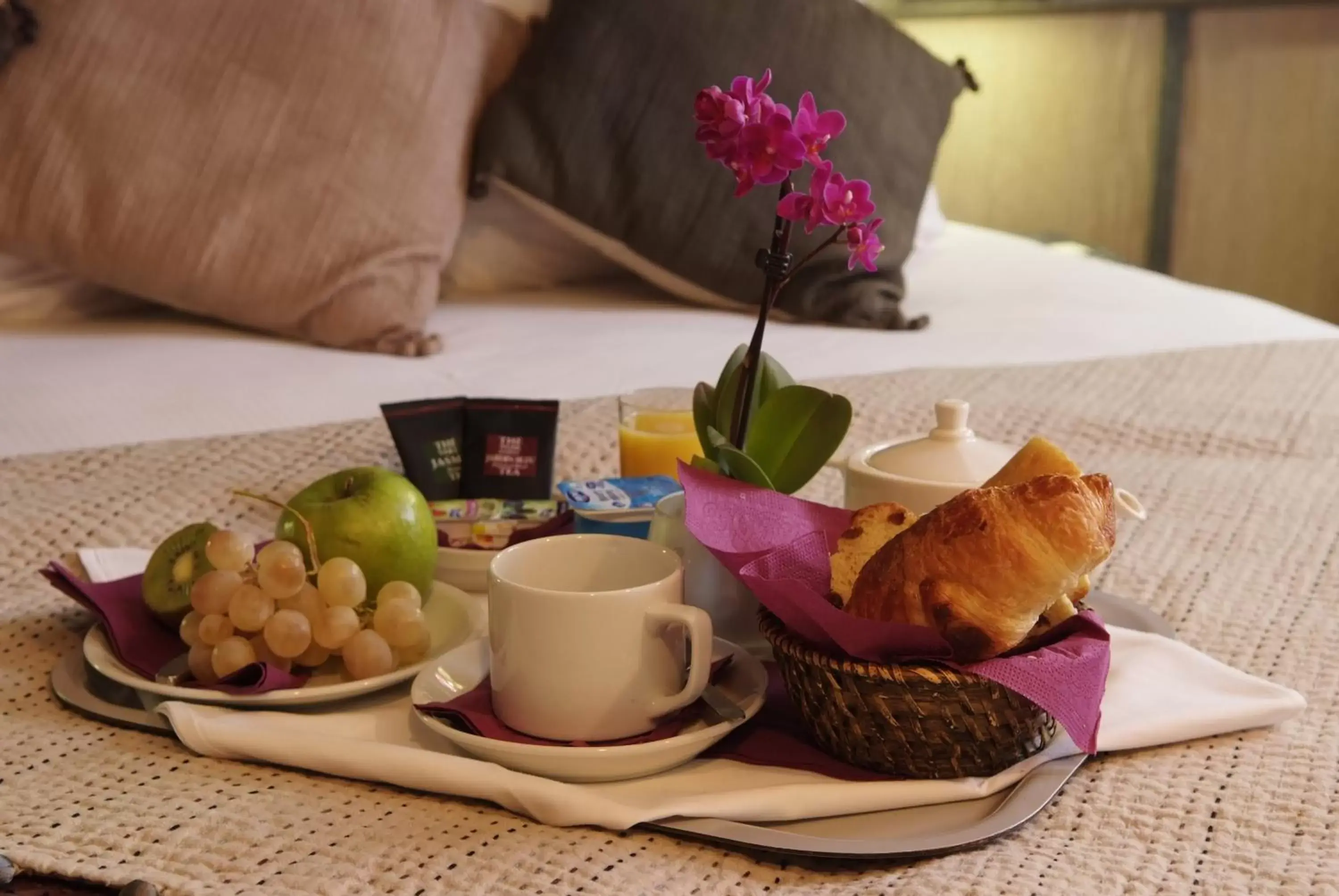 Bed, Breakfast in Hotel Gratte-Ciel Ariana