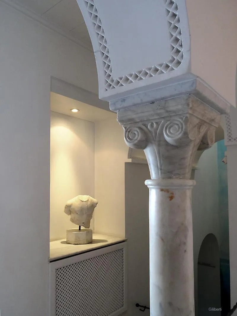 Area and facilities in La Villa Bleue-Sidi Bou Said