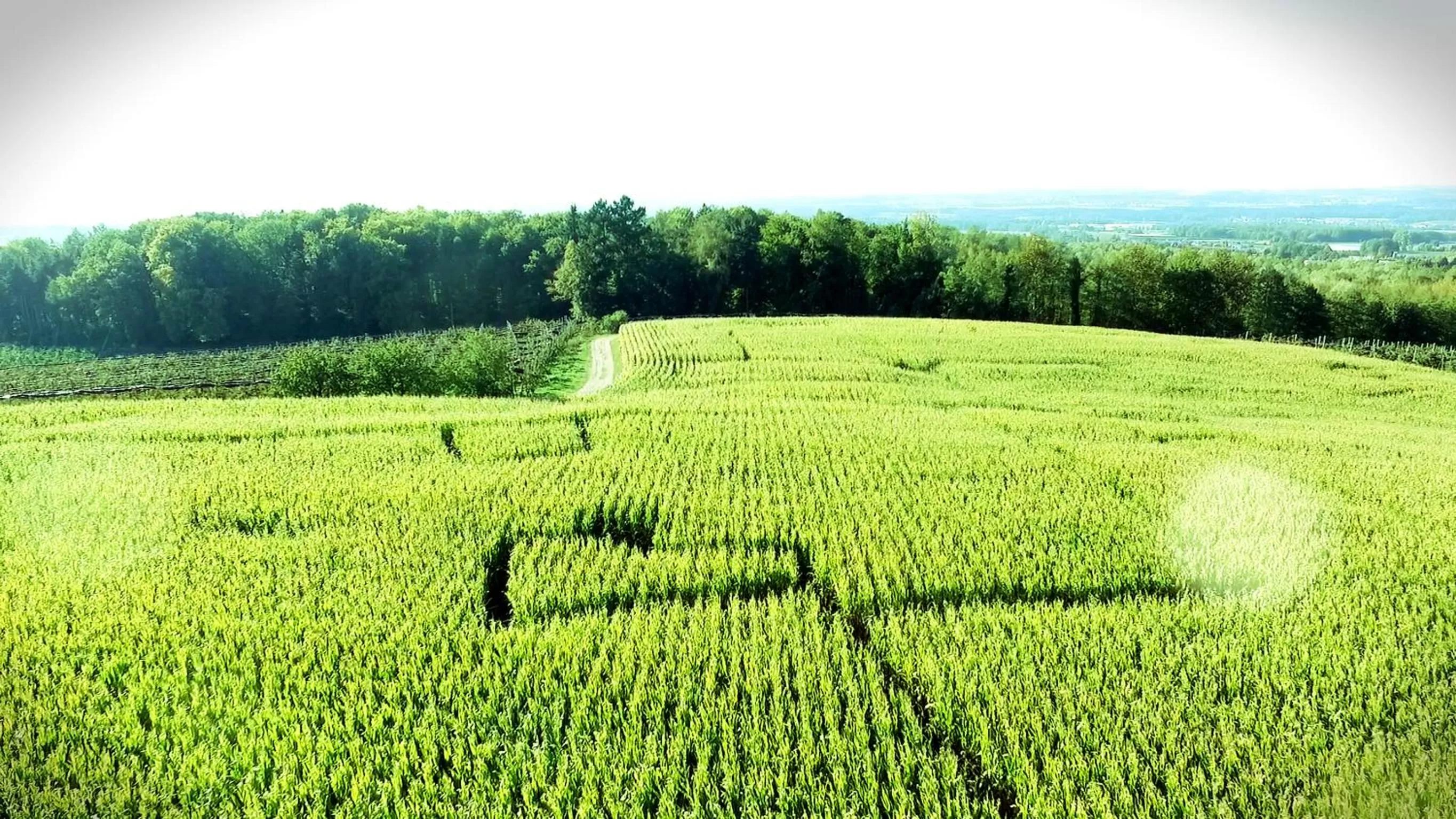 Natural landscape in Gut Hügle Erlebnishof & Spa