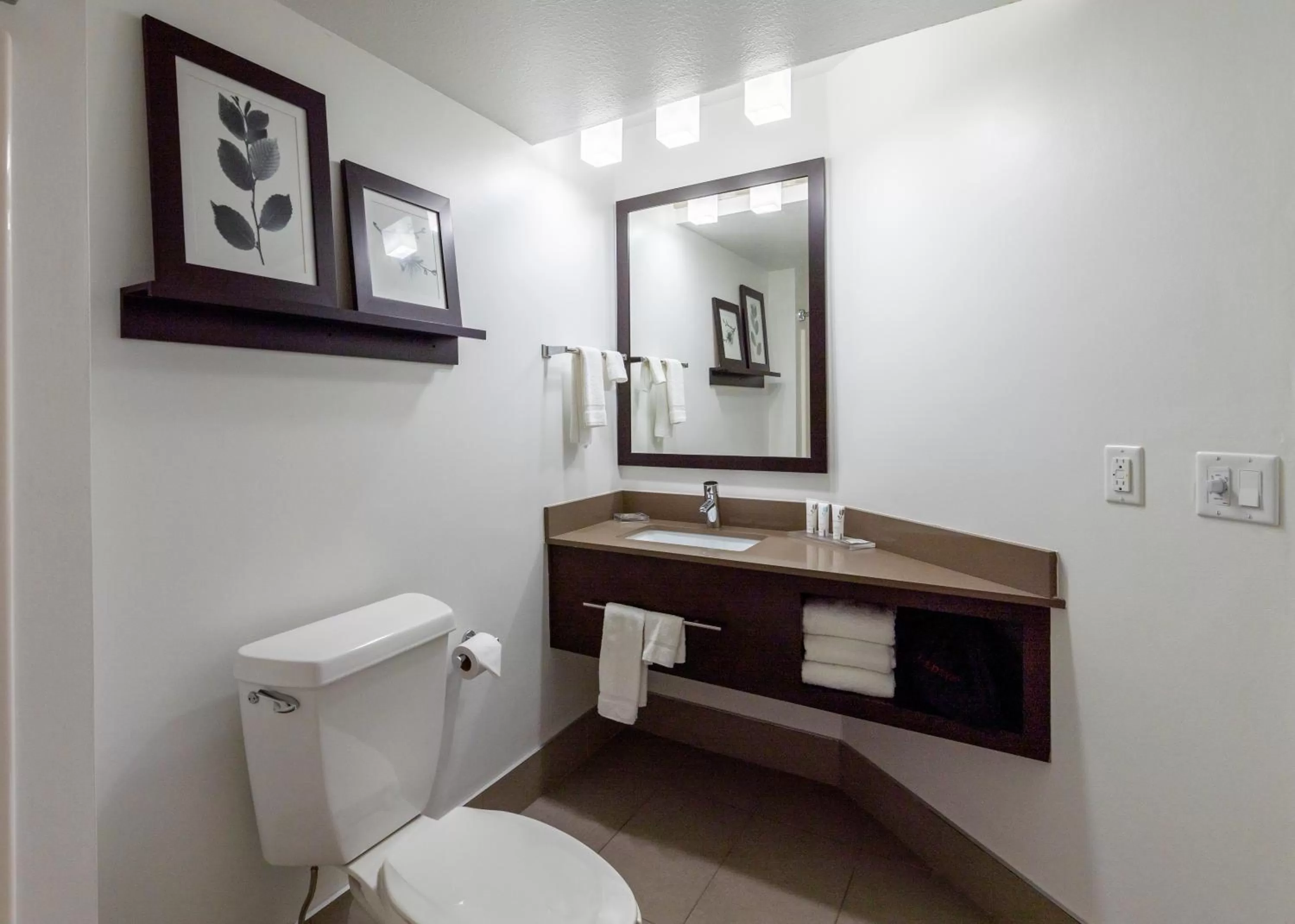 Bathroom in Country Inn & Suites by Radisson, Appleton Airport - Fox River Mall Area