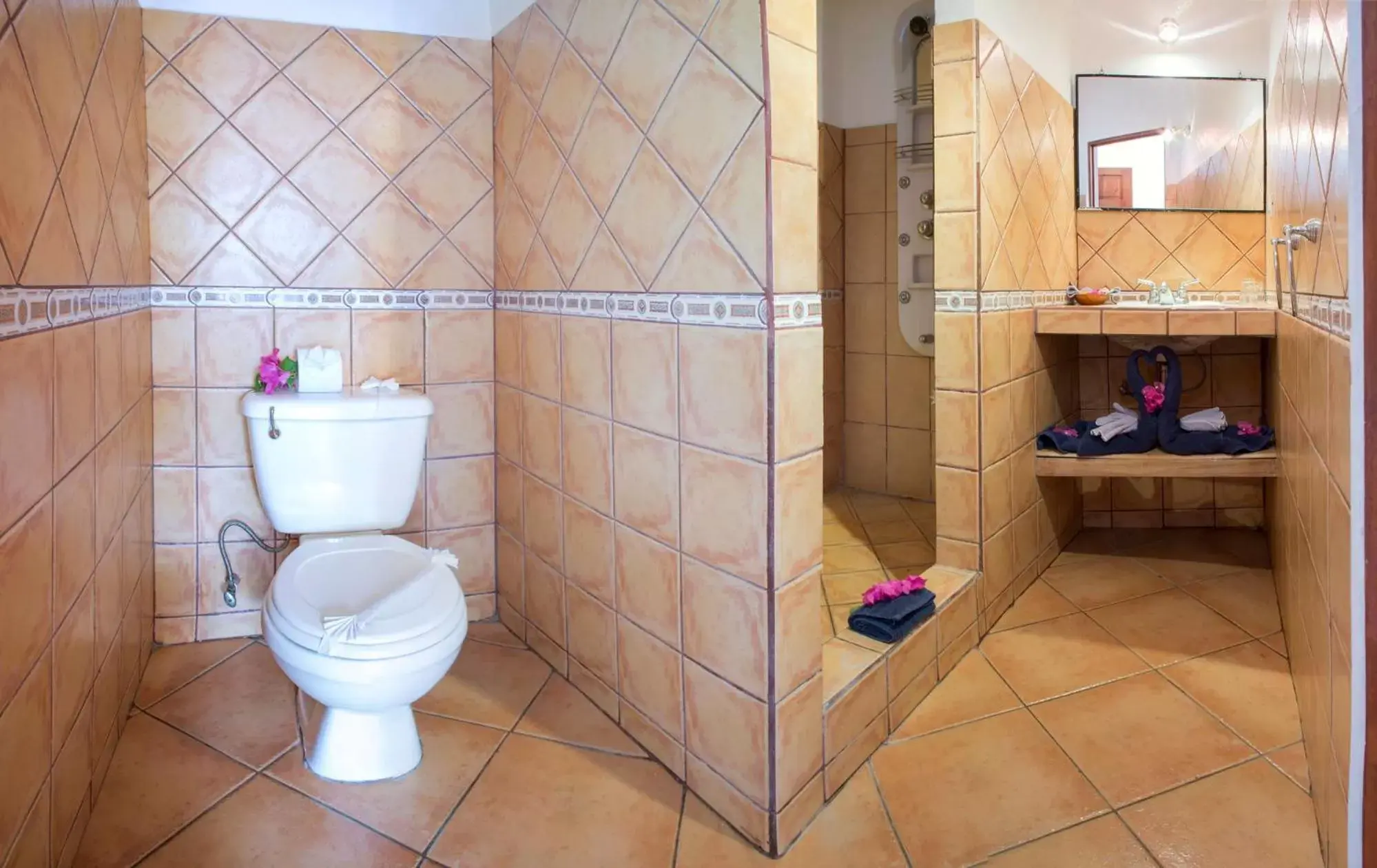 Toilet, Bathroom in Hotel Laguna del Cocodrilo