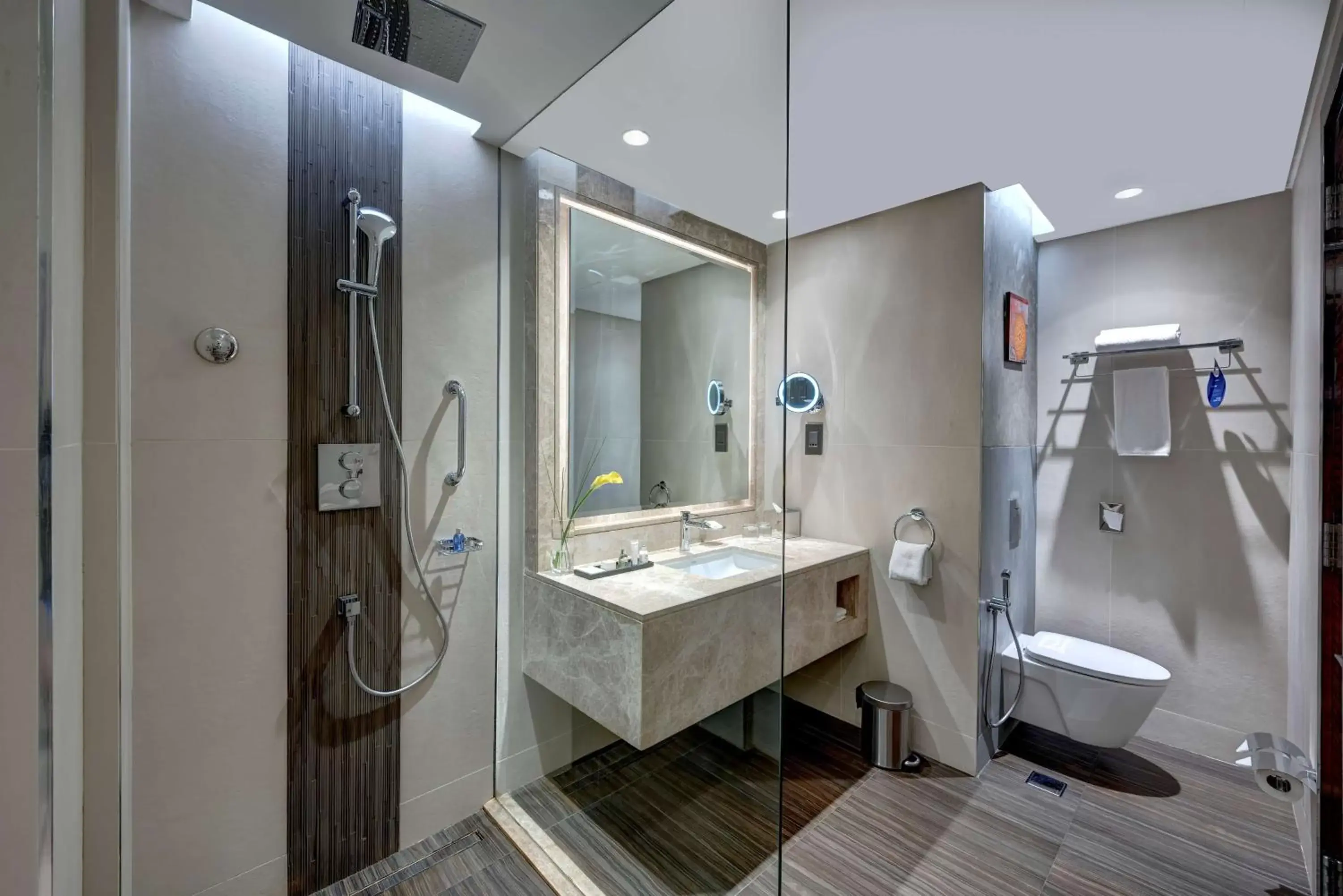 Bathroom in Radisson Blu Hotel, Ajman