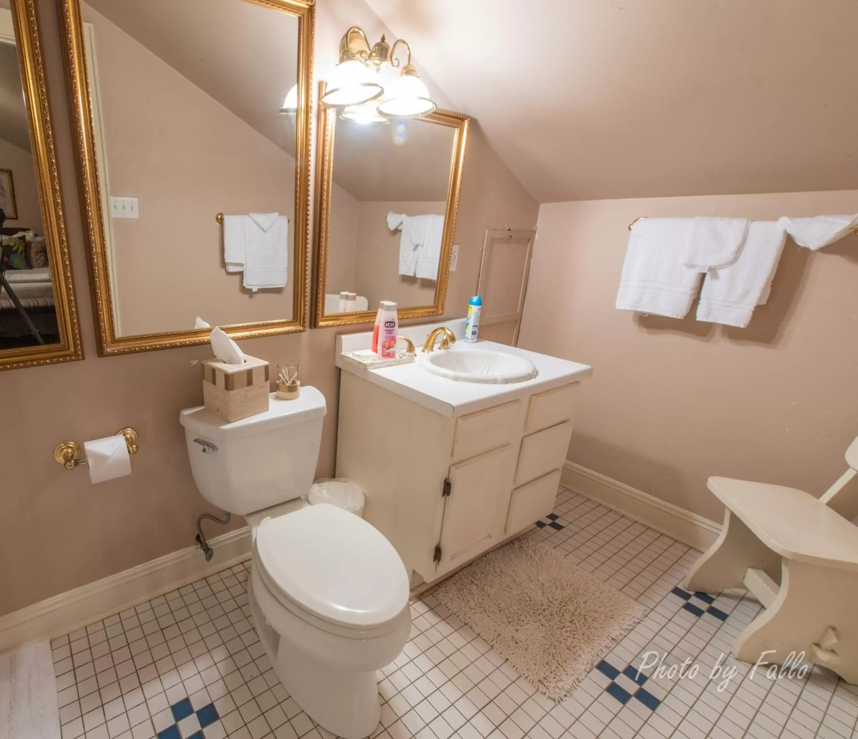 Toilet, Bathroom in Edgar Degas House Historic Home and Museum