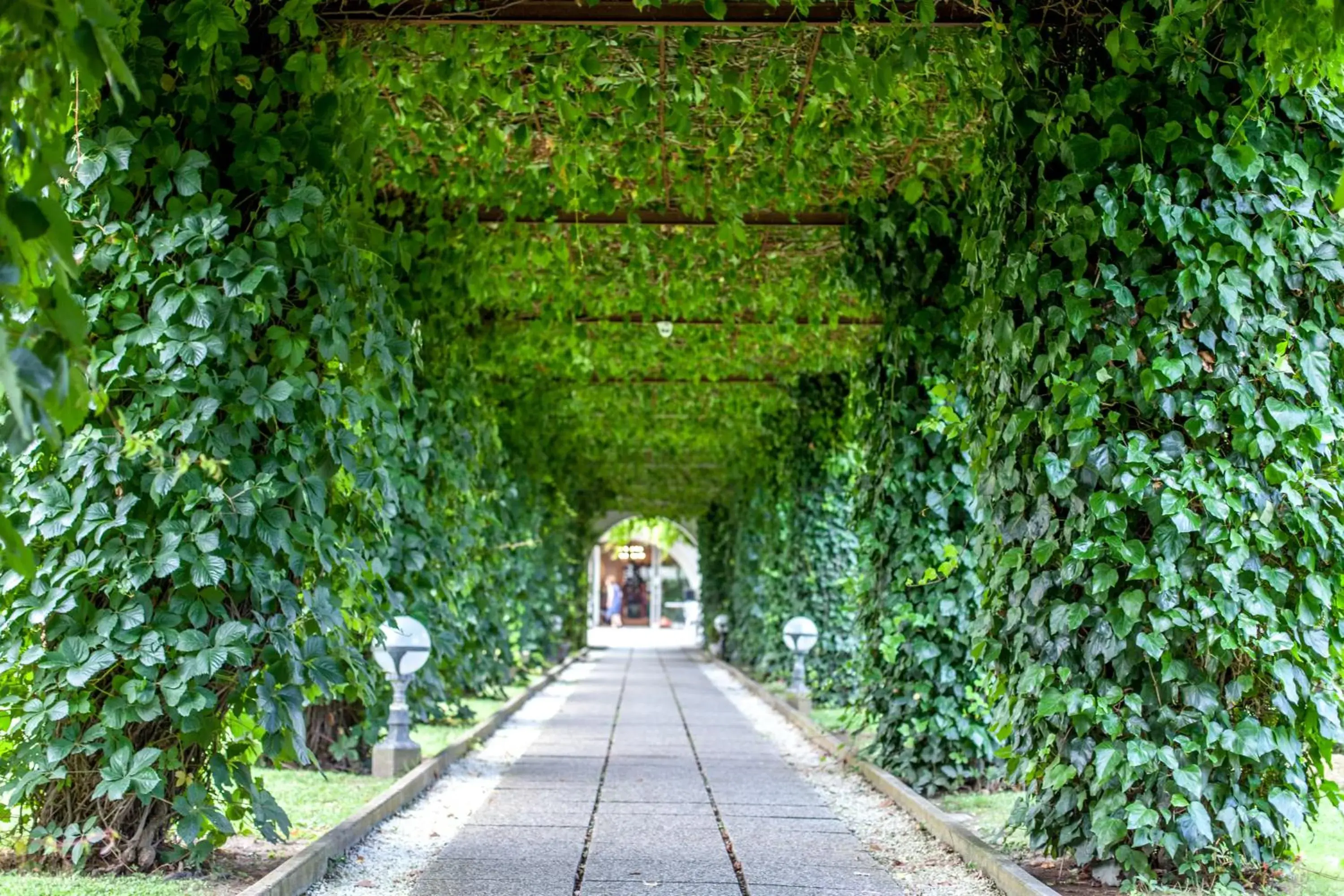 Garden in Hotel Aurelia