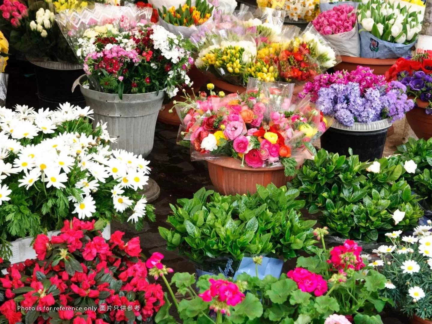 Location in Royal Plaza Hotel