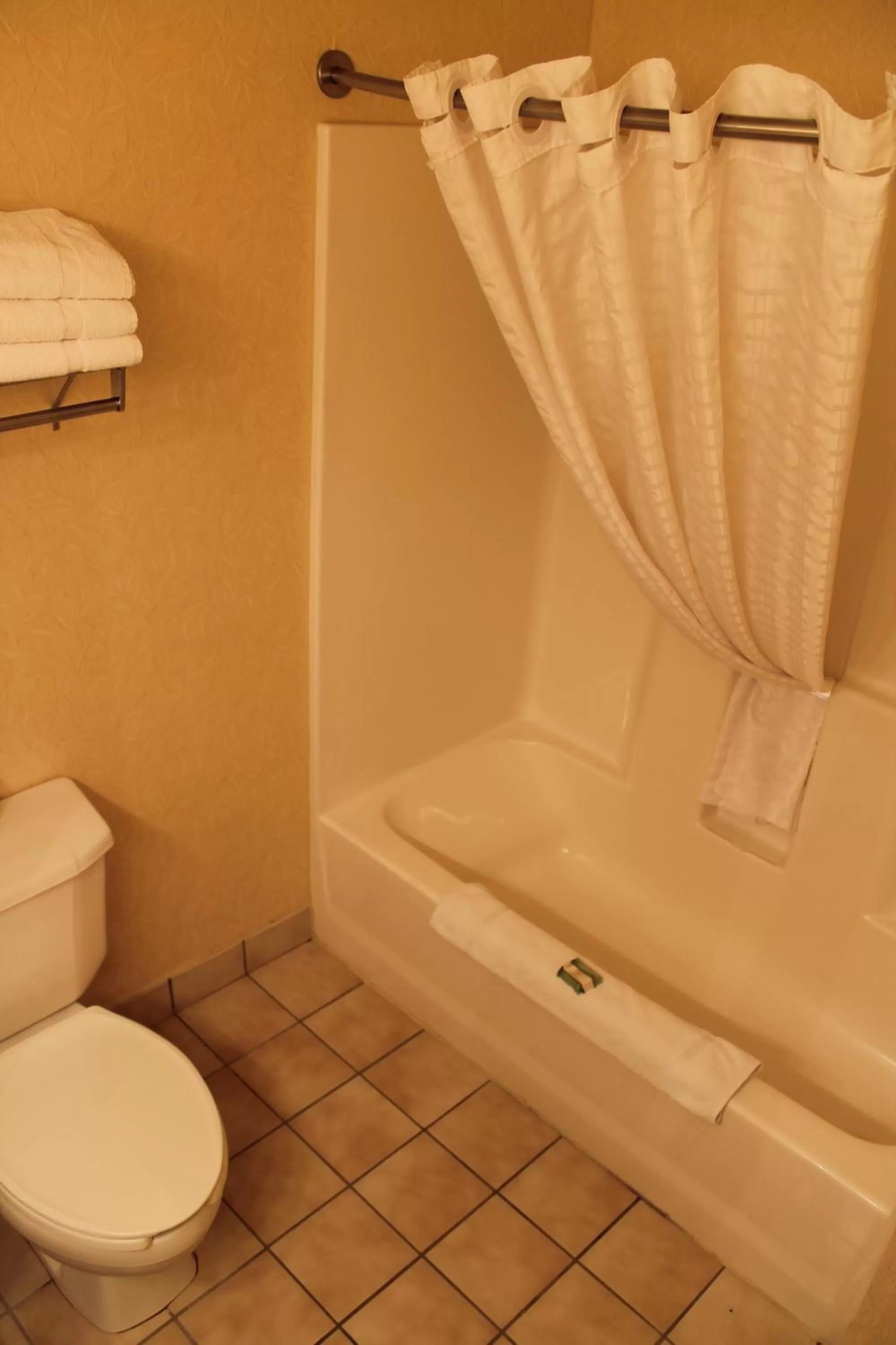 Queen Room with Two Queen Beds in Country Inn & Suites by Radisson, Minneapolis-Shakopee