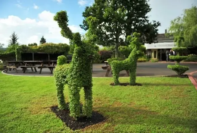 Garden in Cahir House Hotel