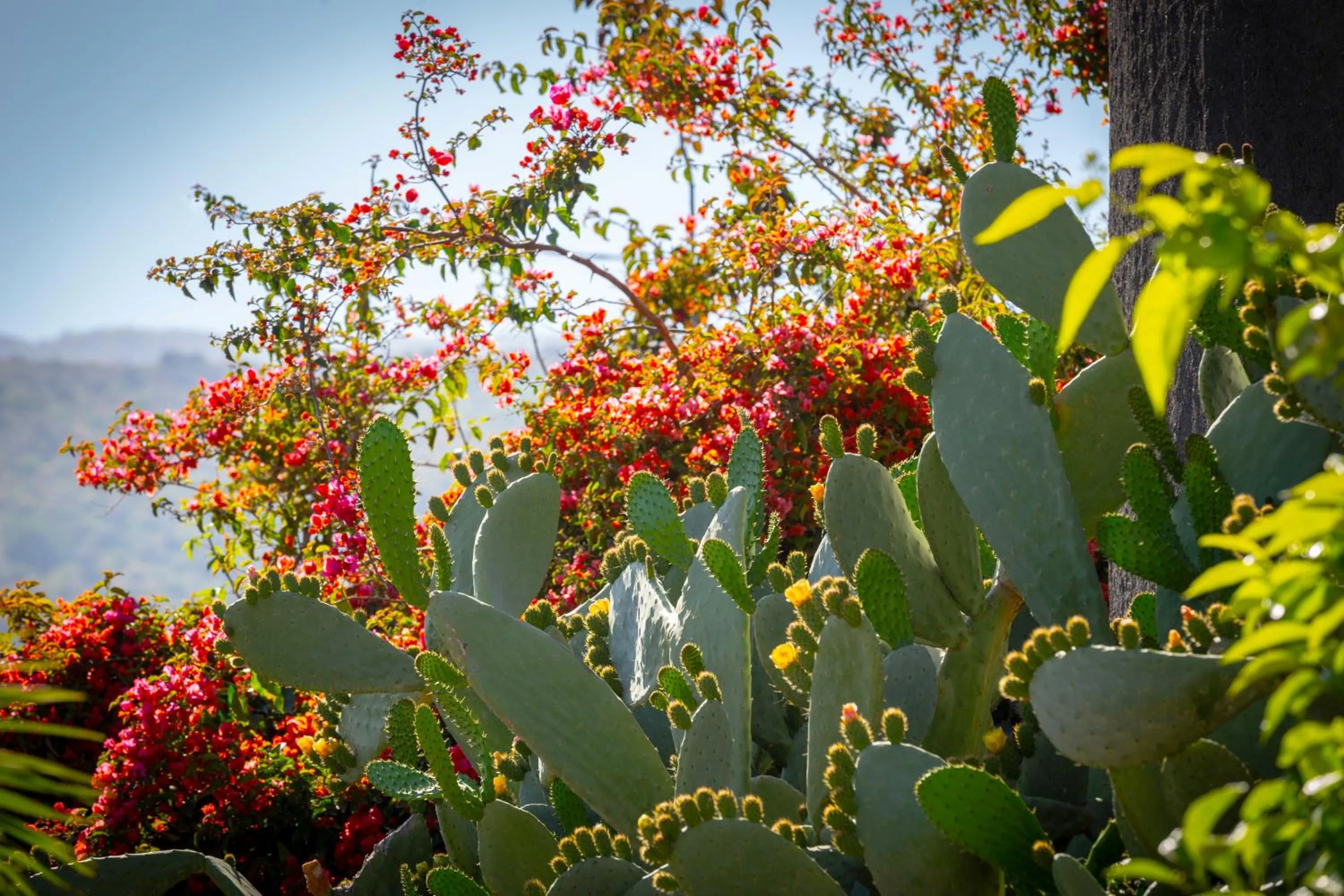 Garden in La Terra Dei Sogni Country Hotel