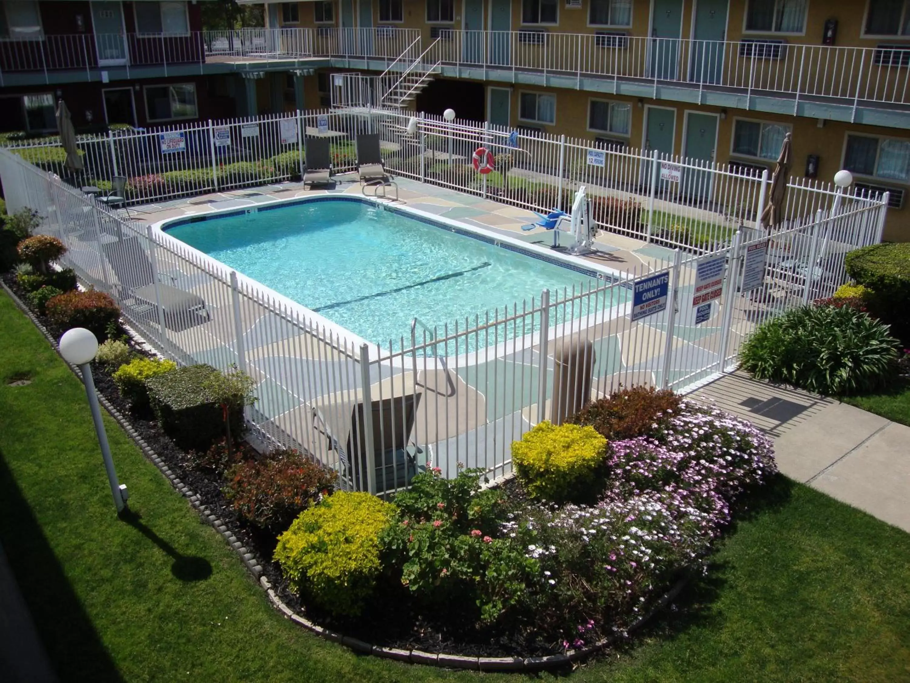 Garden, Swimming Pool in Oasis Inn Sacramento- Elk Grove