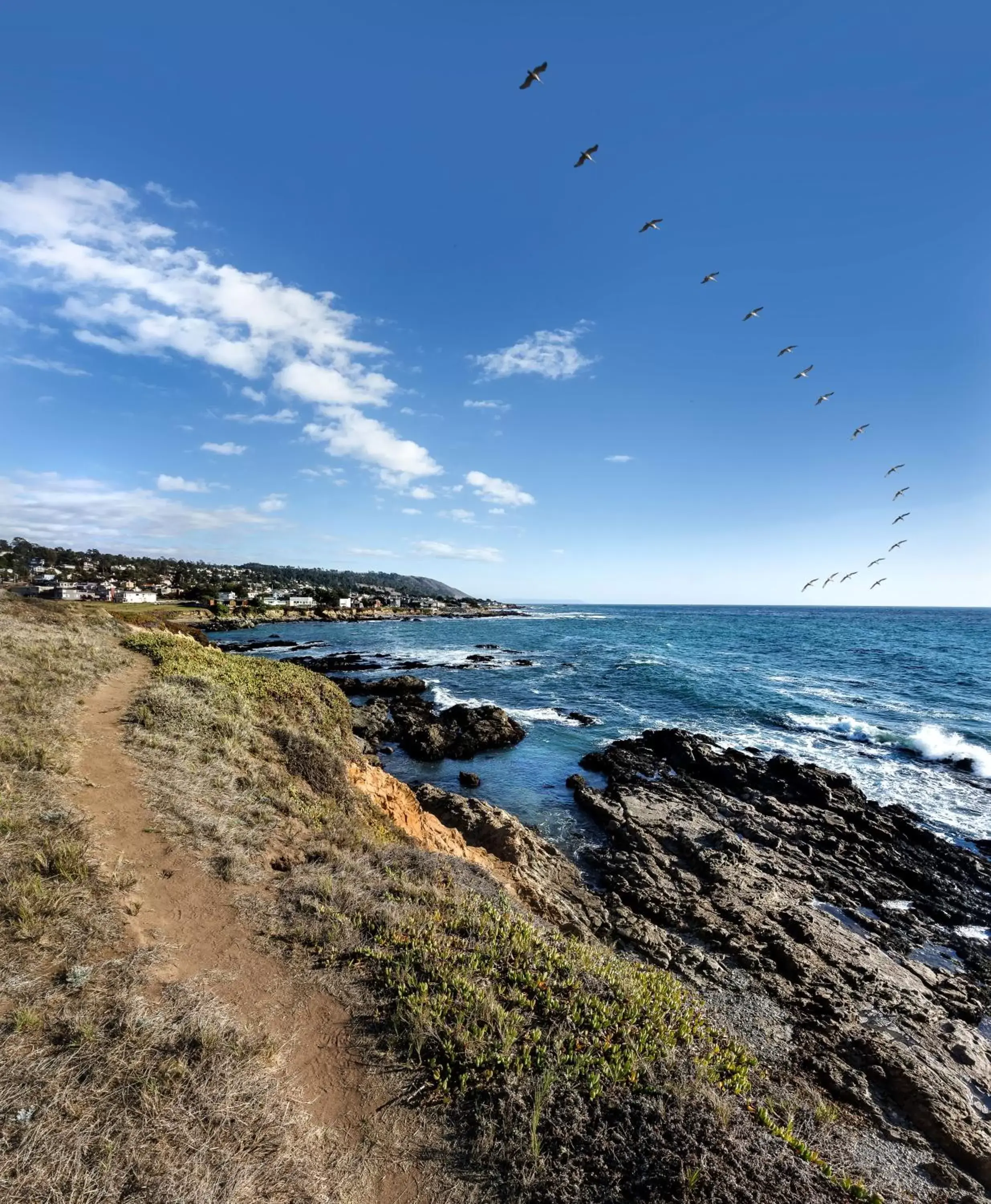 Area and facilities, Beach in Sand Pebbles Inn