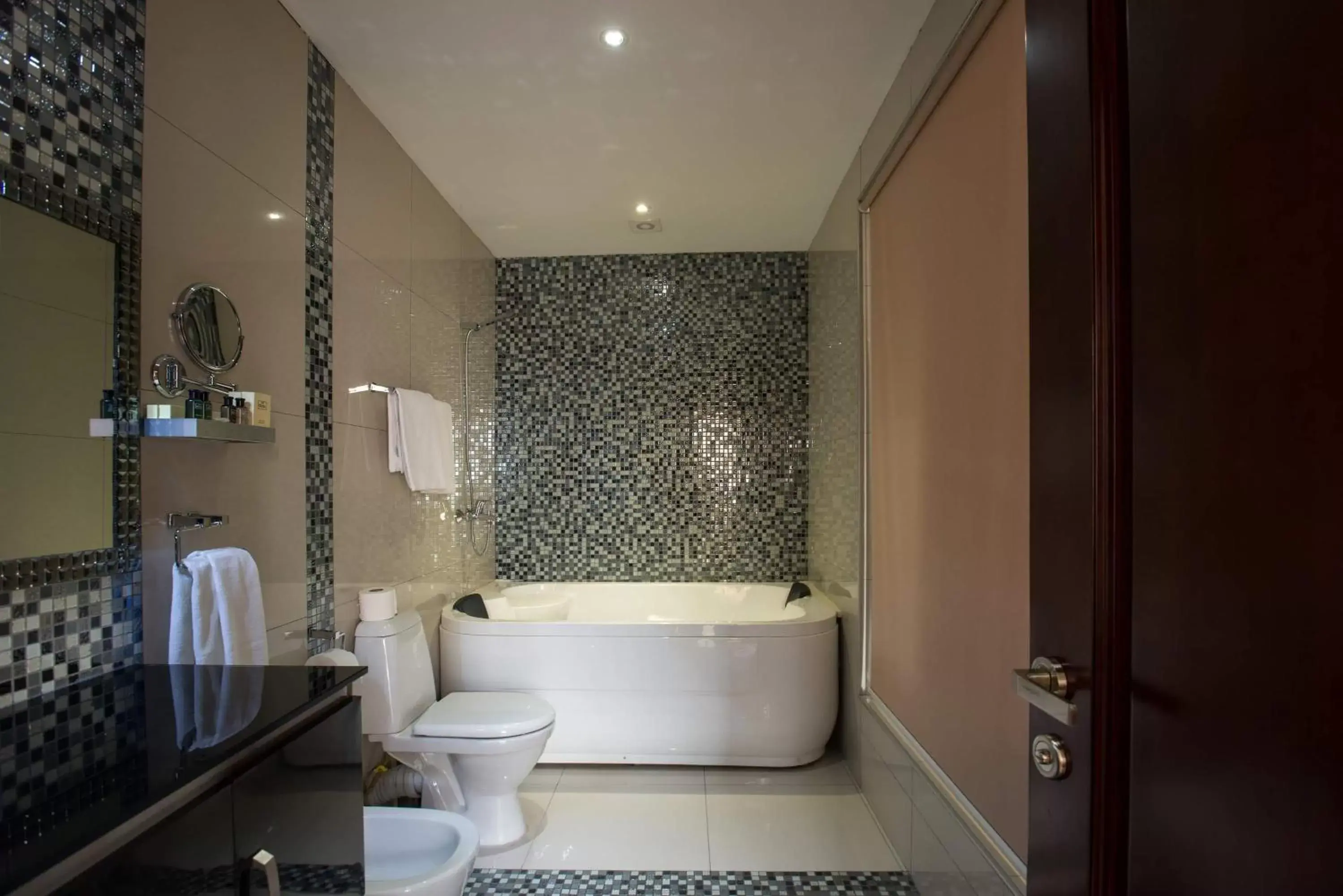 Bathroom in Hotel Orion Tbilisi