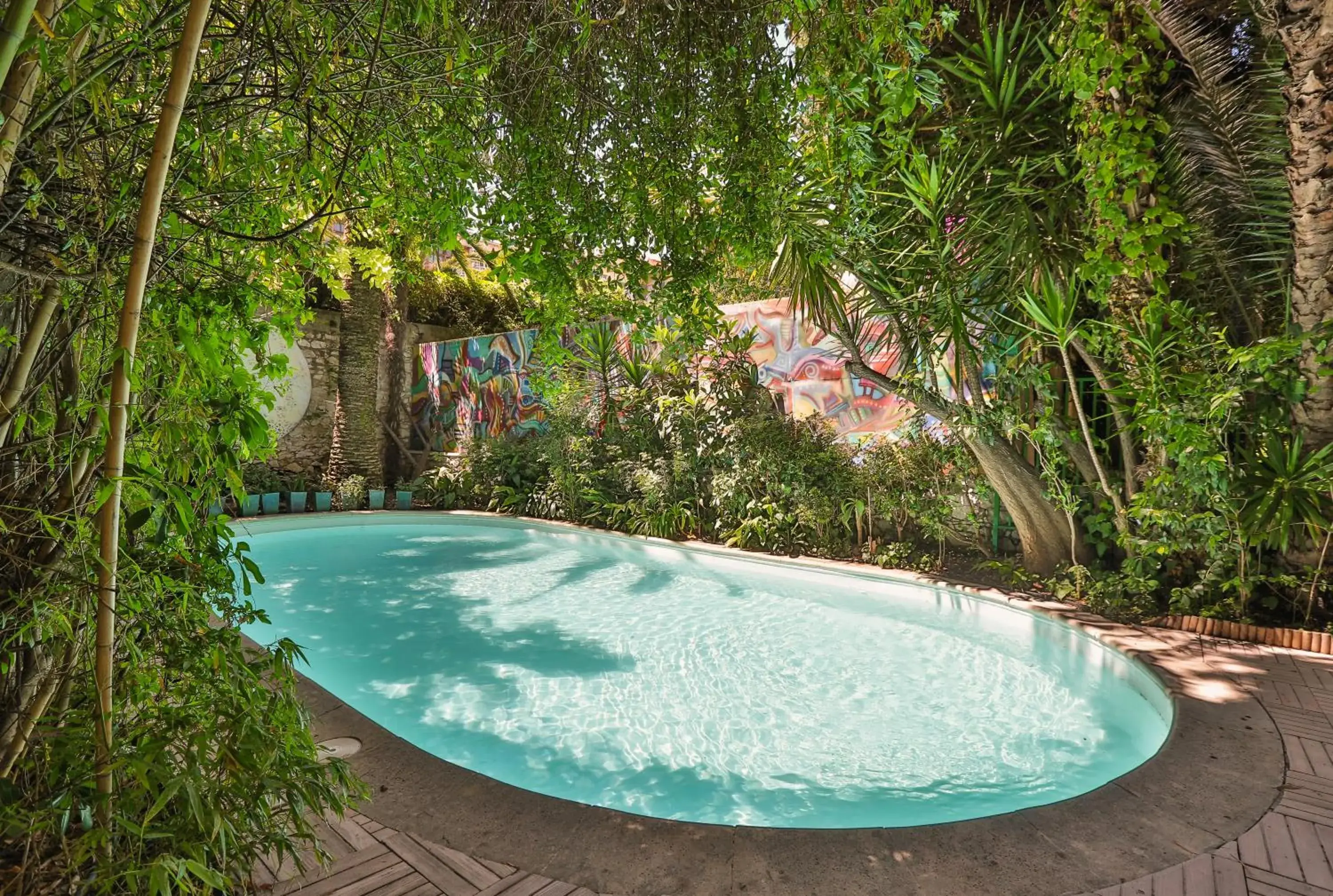 Garden, Swimming Pool in Le Windsor, Jungle Art Hotel