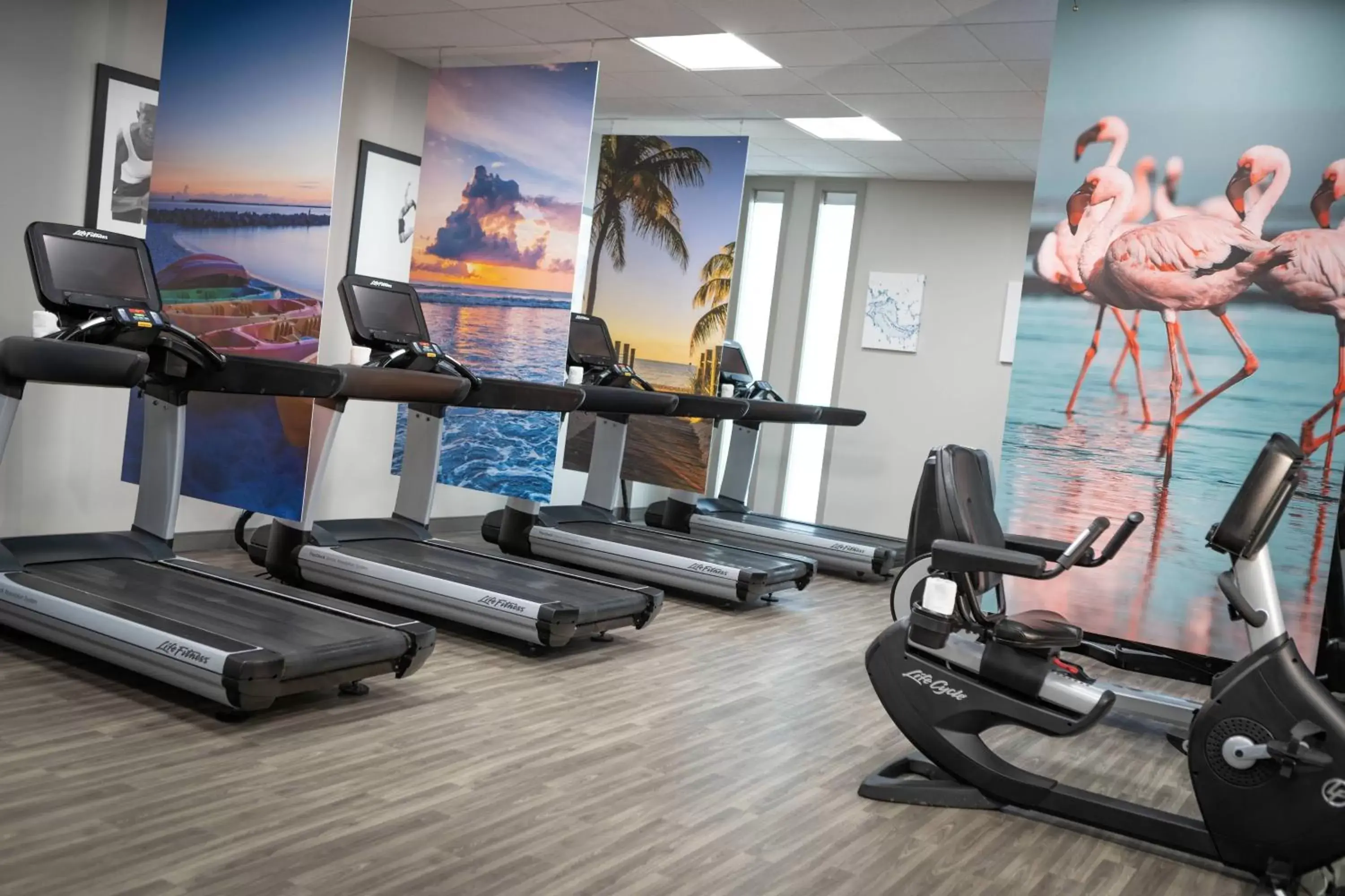 Fitness centre/facilities, Fitness Center/Facilities in Renaissance Orlando at SeaWorld®