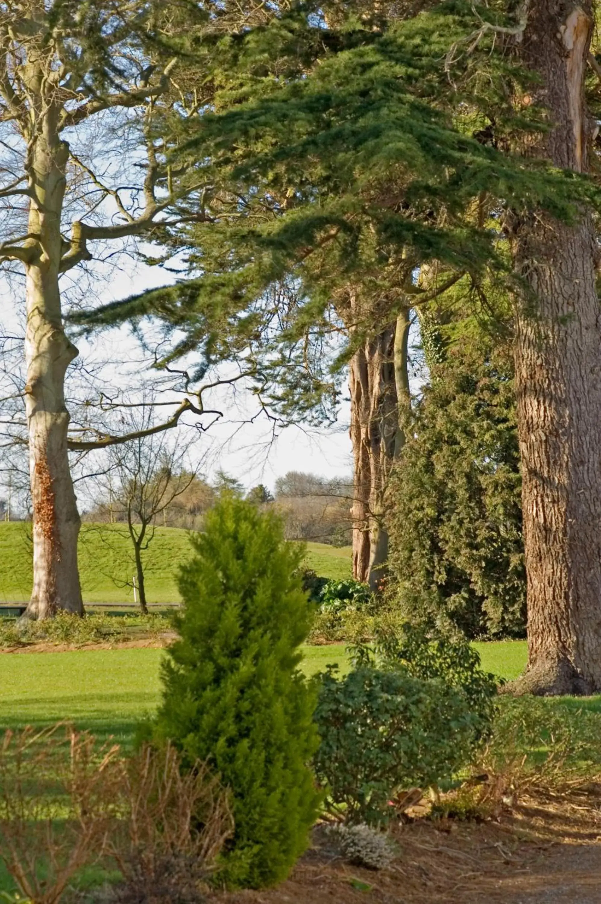 Natural Landscape in Roganstown Hotel & Country Club
