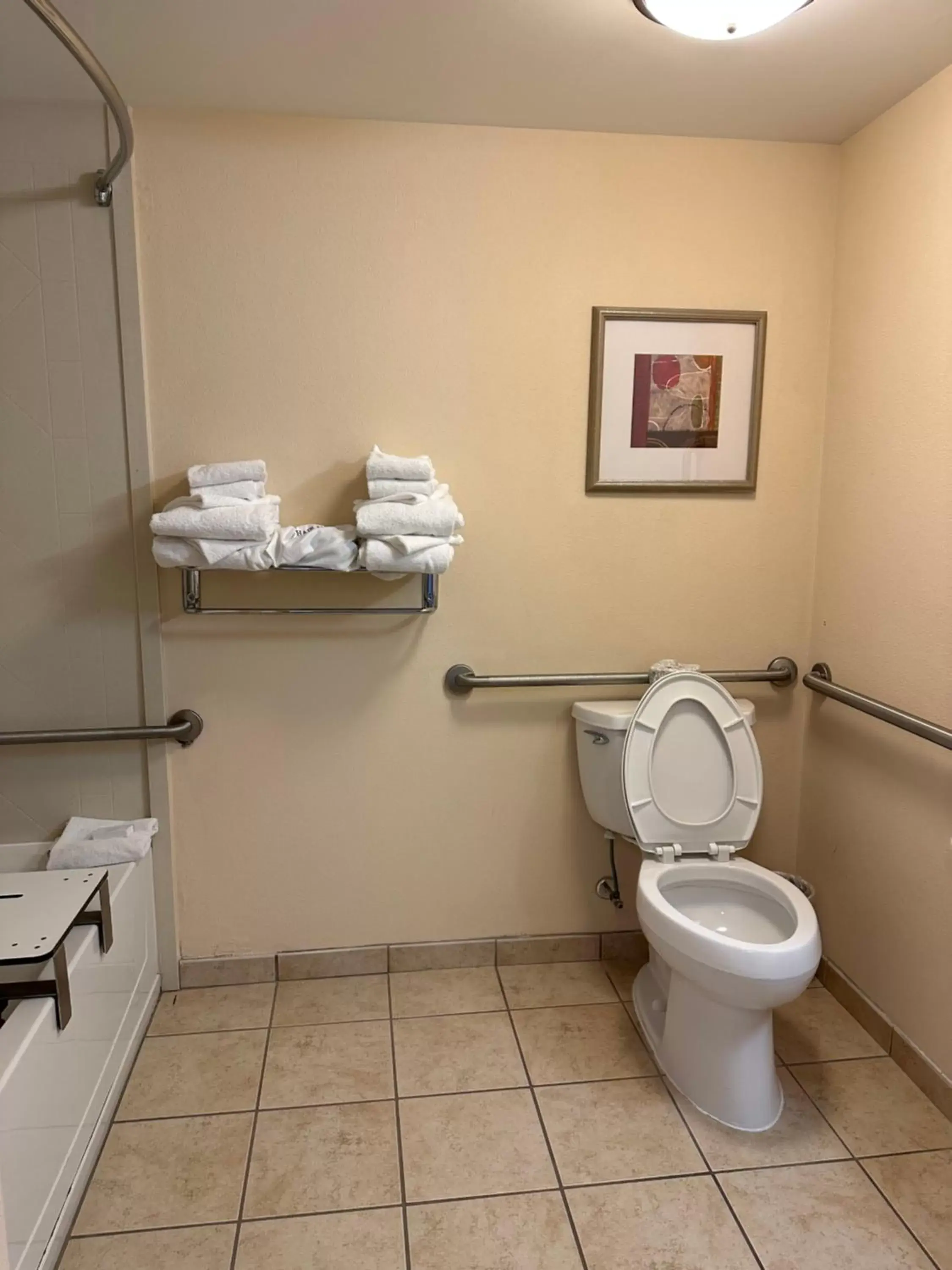 Toilet, Bathroom in Hampton Inn Virginia Beach-Oceanfront South