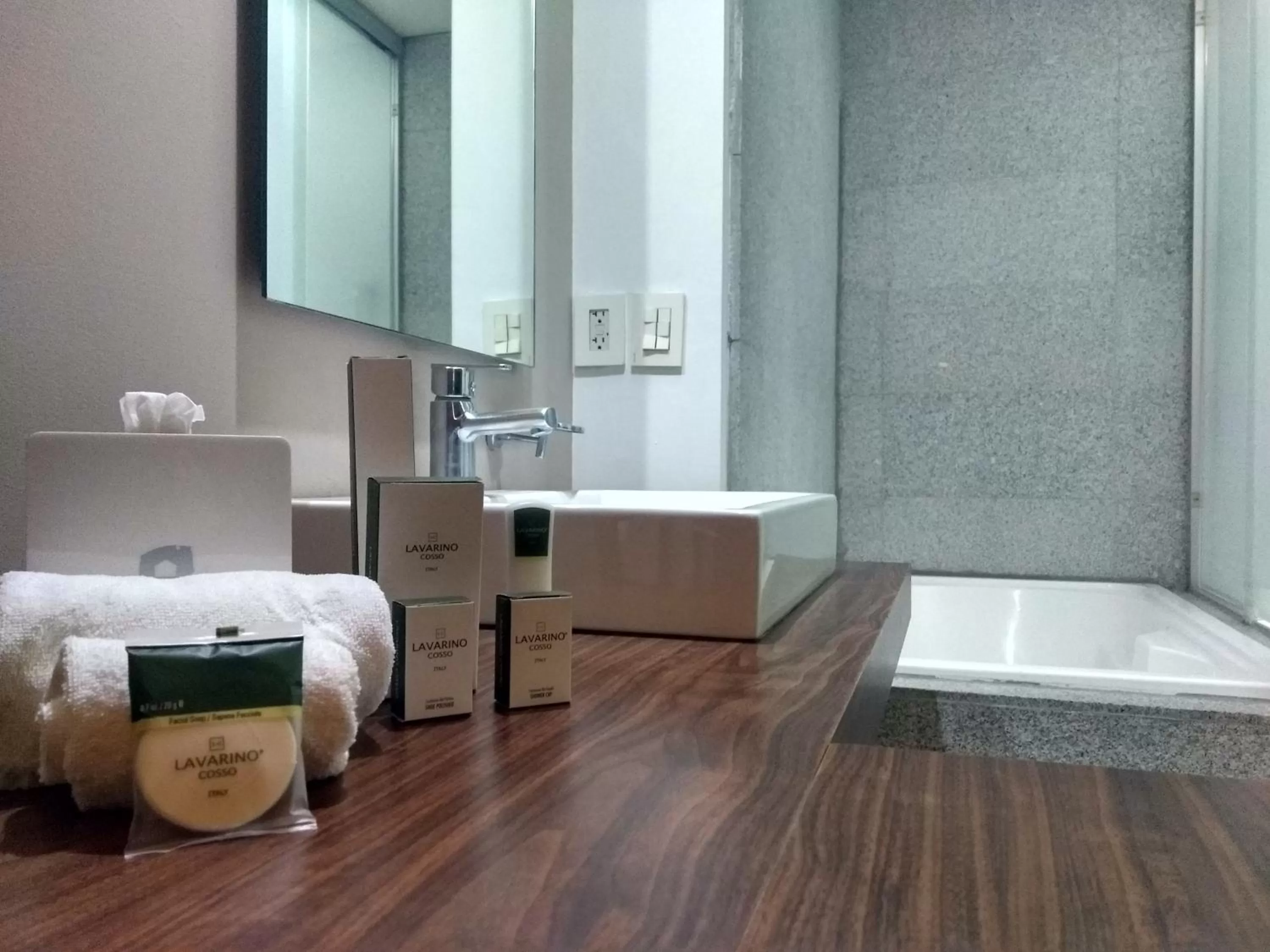 Shower in Casa Inn Premium Hotel Queretaro