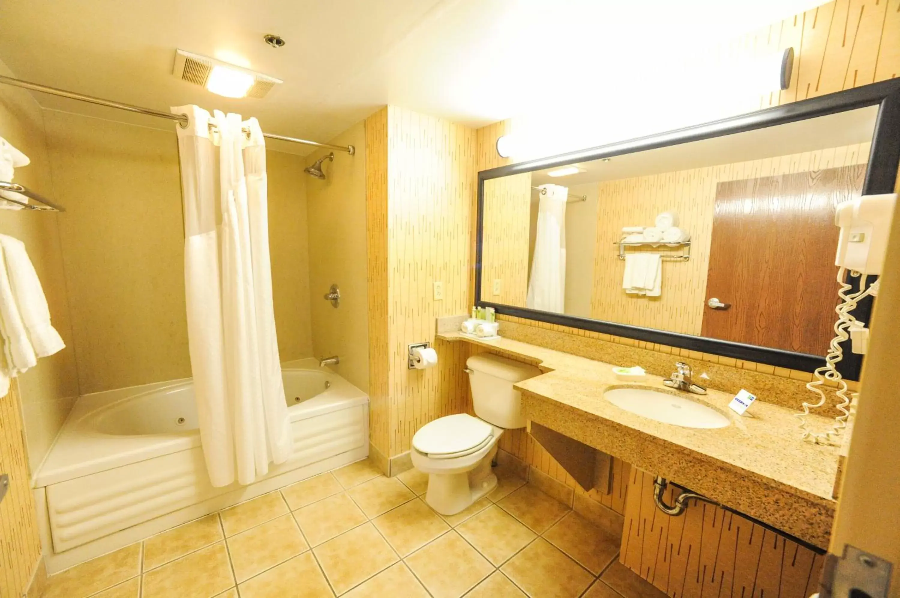 Bathroom in Holiday Inn Express Hotel & Suites Bowling Green, an IHG Hotel