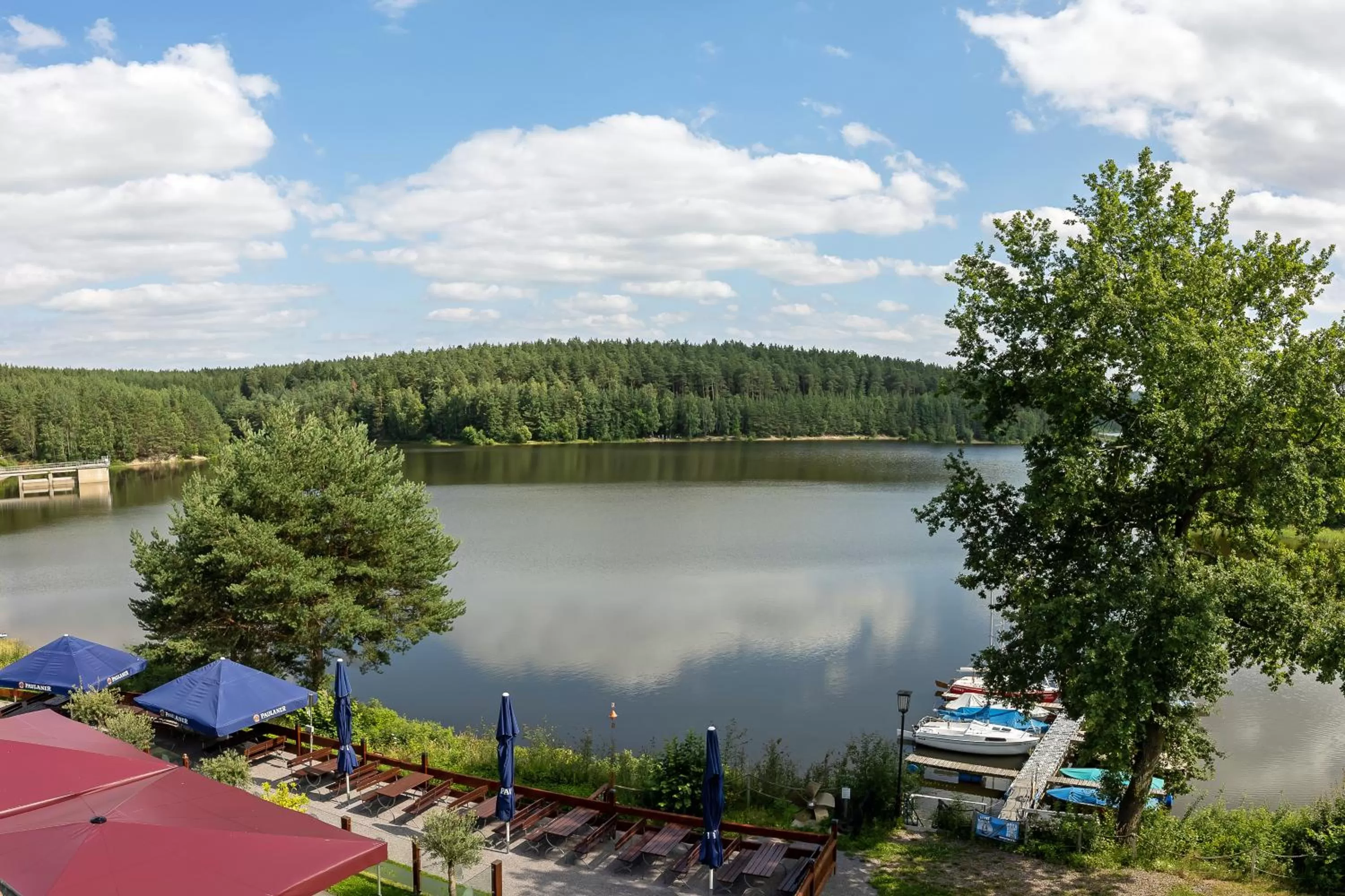Natural landscape in Riverdam Boutique Hotel