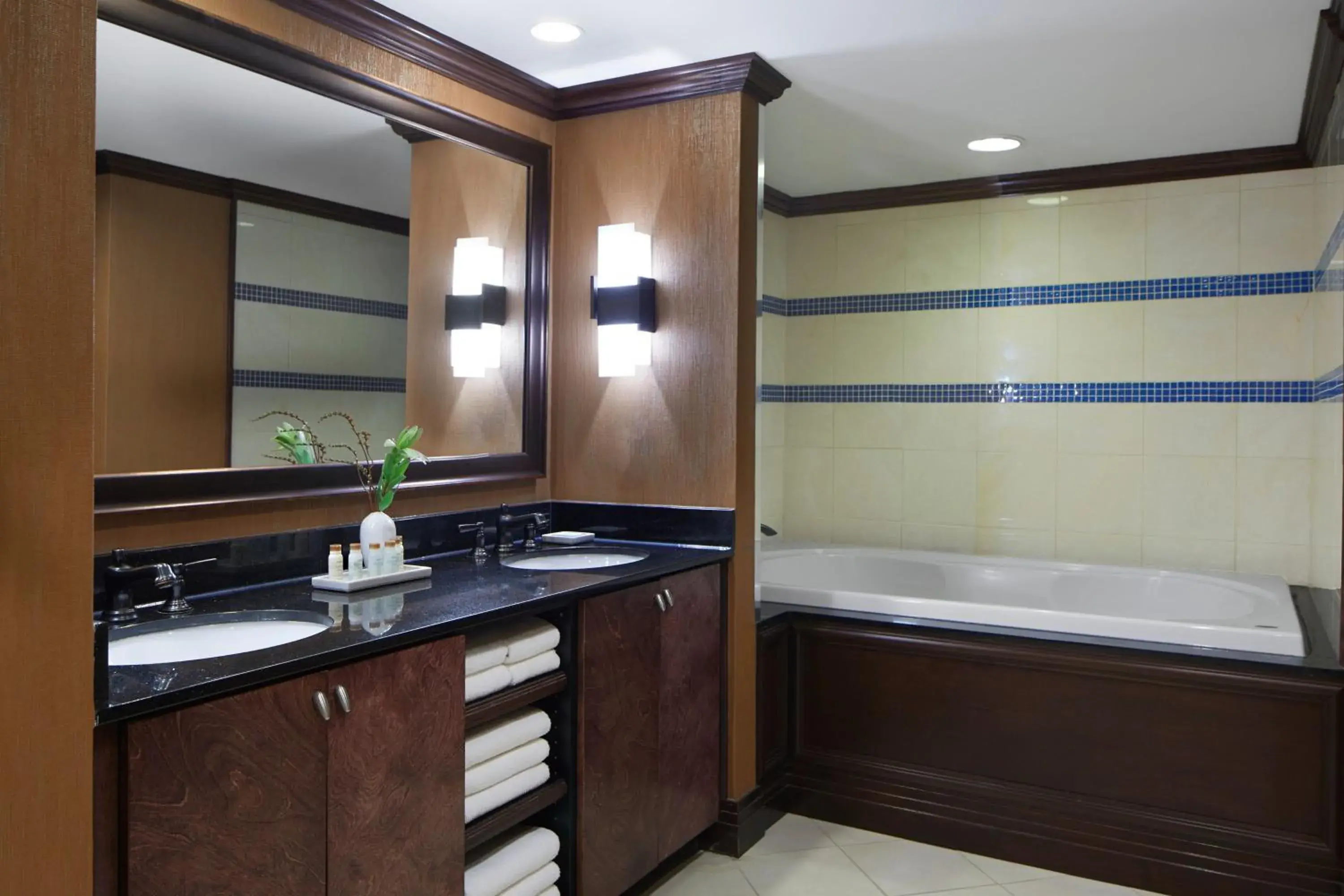 Bathroom in Renaissance by Marriott Mobile Riverview Plaza Hotel