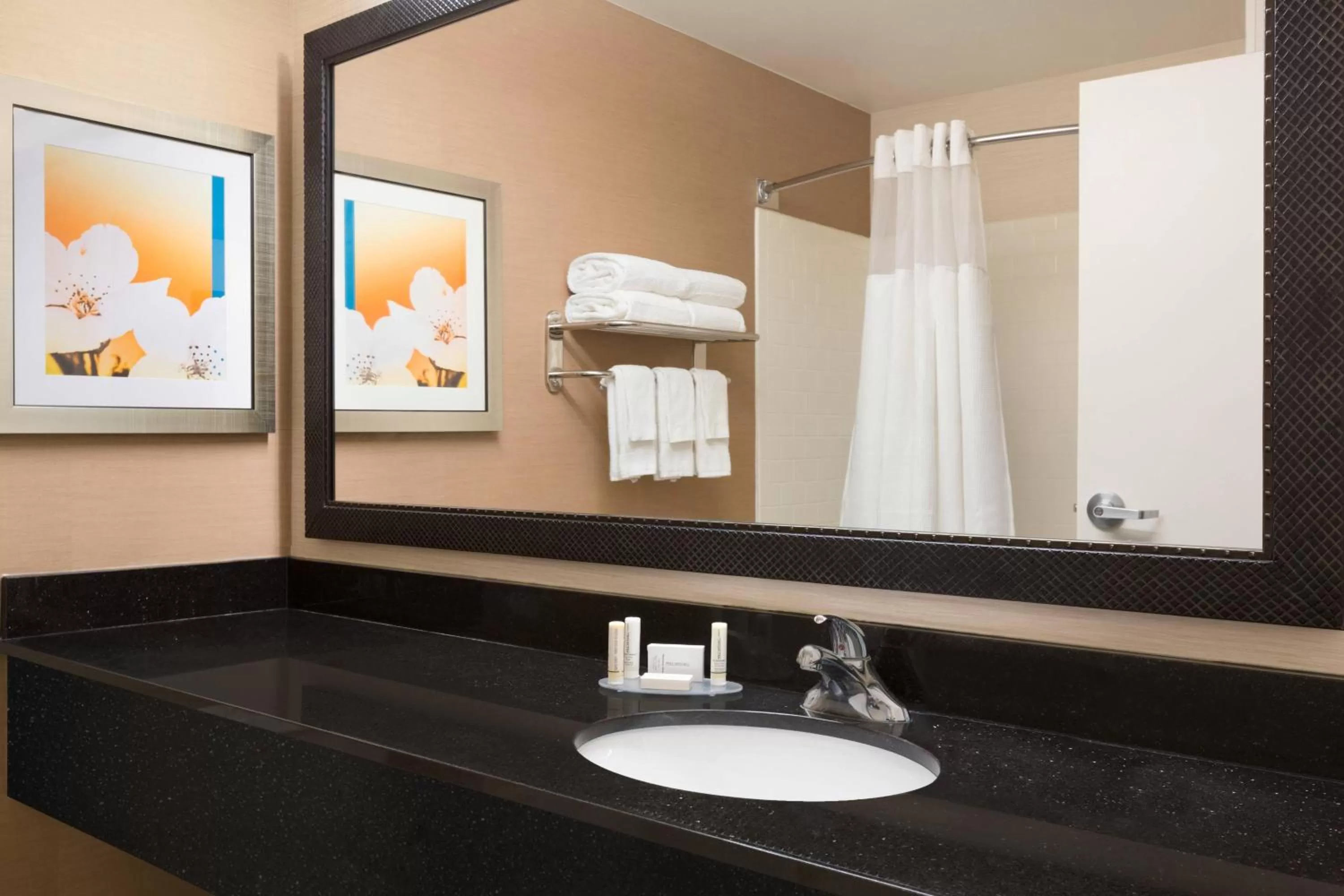 Bathroom in Fairfield by Marriott Inn & Suites Houston North/Cypress Station