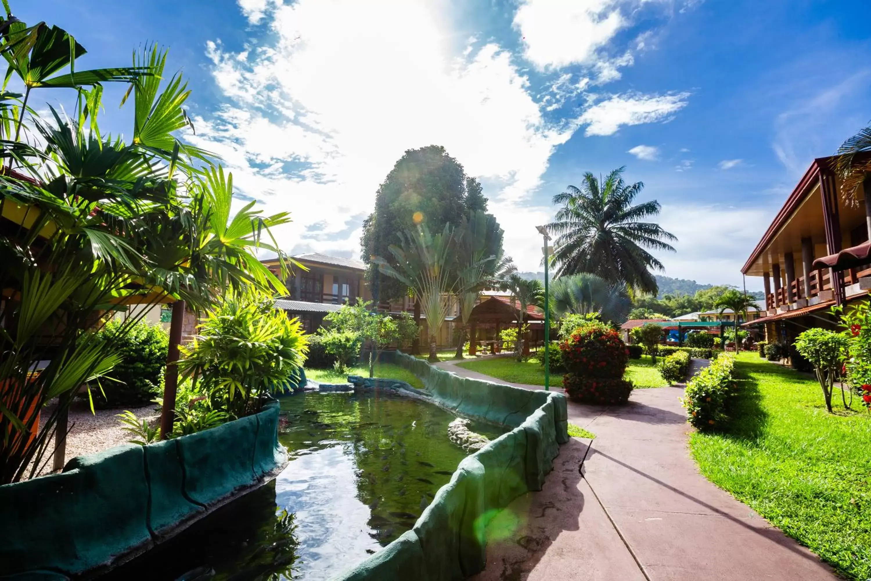 Garden view in Amapola Resort Garden view in Amapola Resort